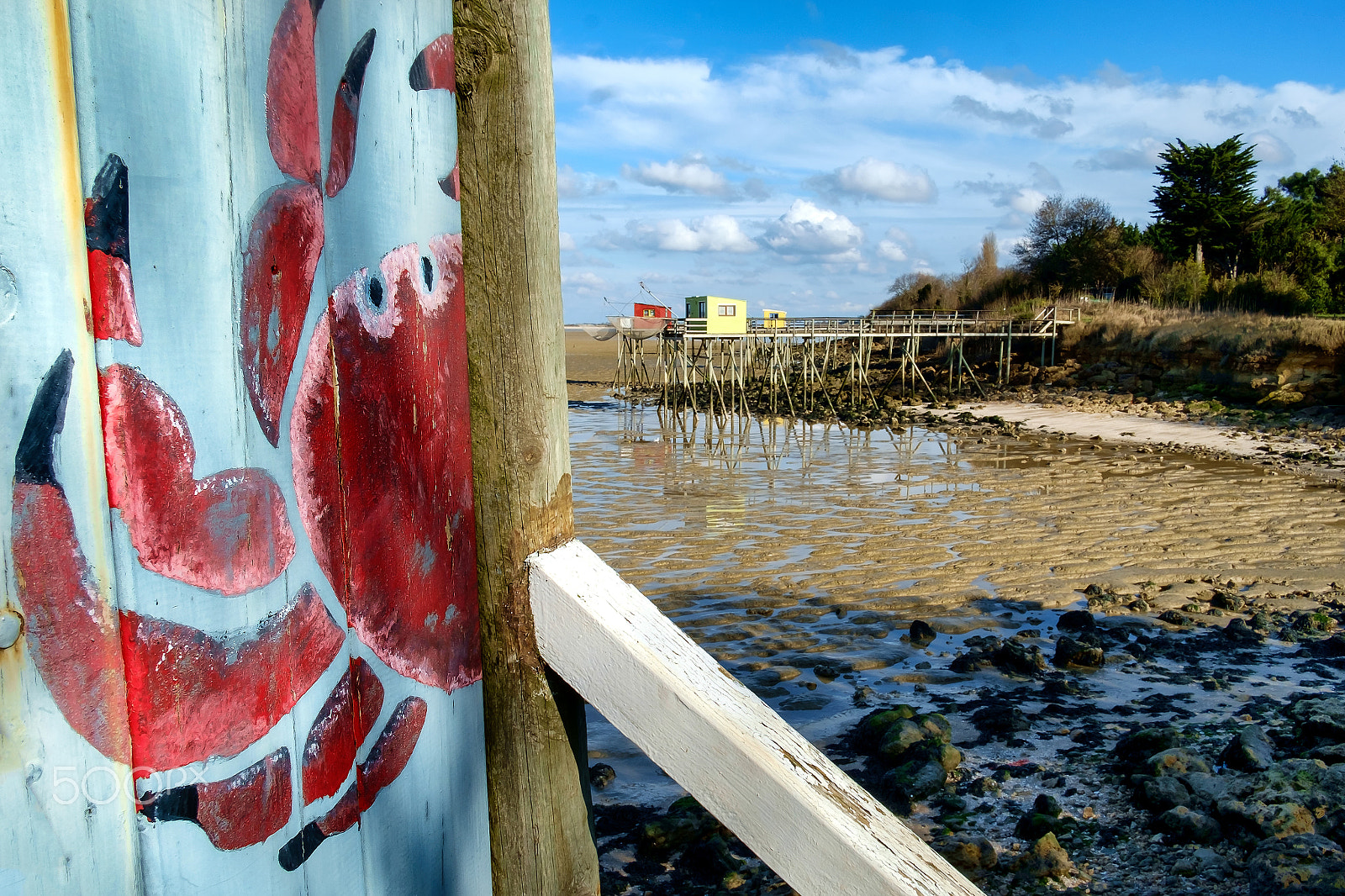 Fujifilm X-Pro1 + Fujifilm XF 18mm F2 R sample photo. Le crabe photography