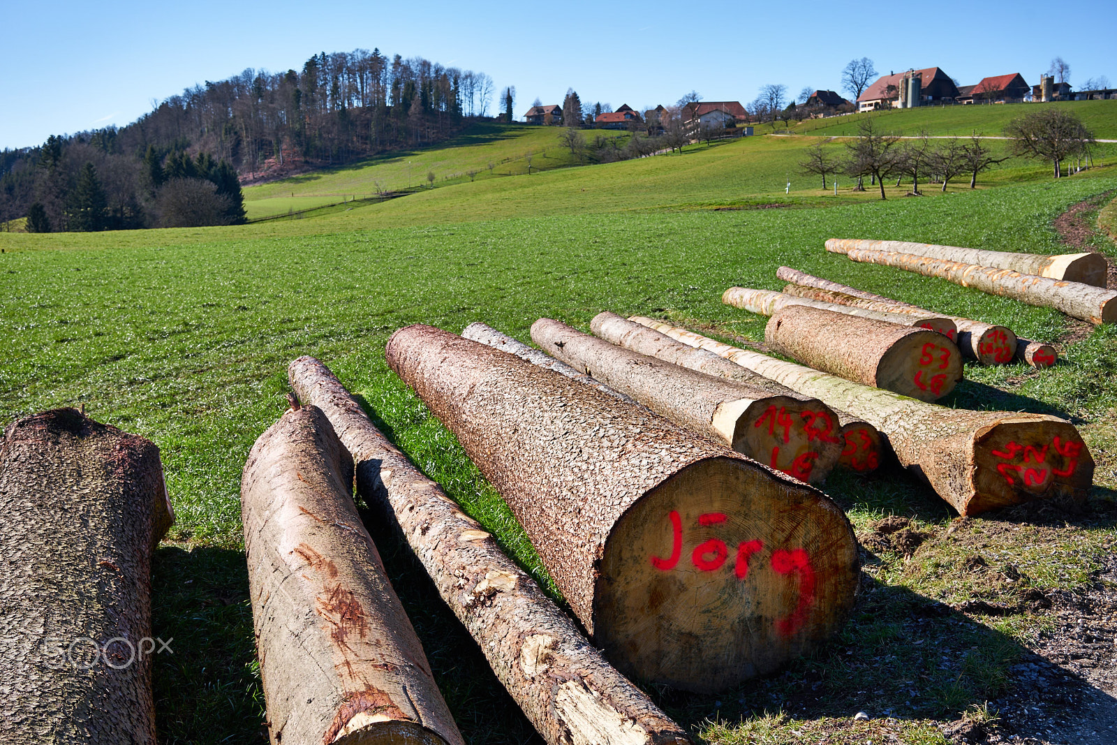 Sony Sonnar T* FE 35mm F2.8 ZA sample photo. Round timber at "zimmerberg" photography