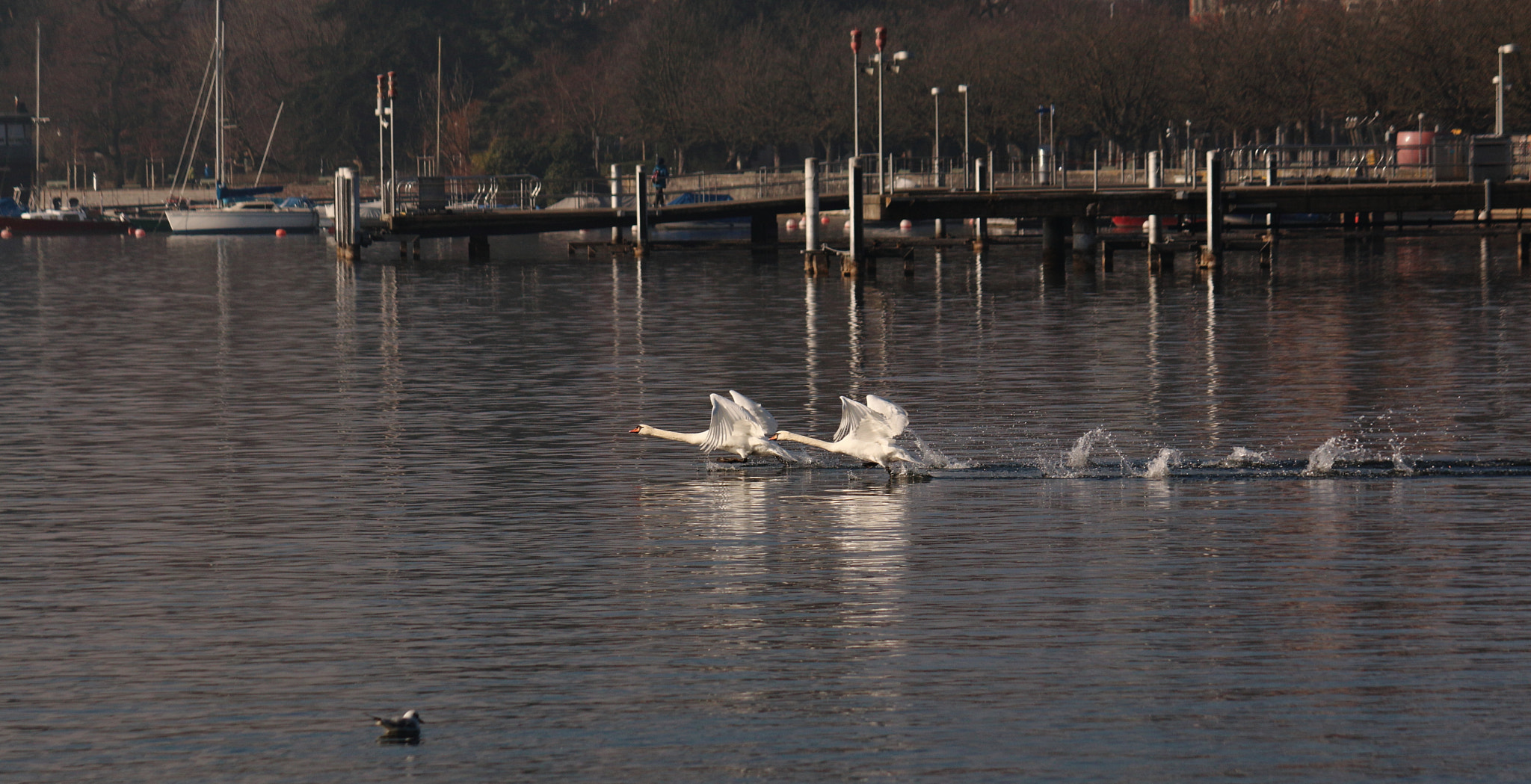 Canon EF-S 55-250mm F4-5.6 IS sample photo. Take off... photography