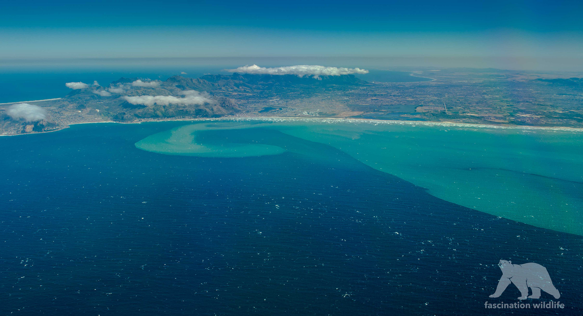 Nikon D4S sample photo. False bay photography