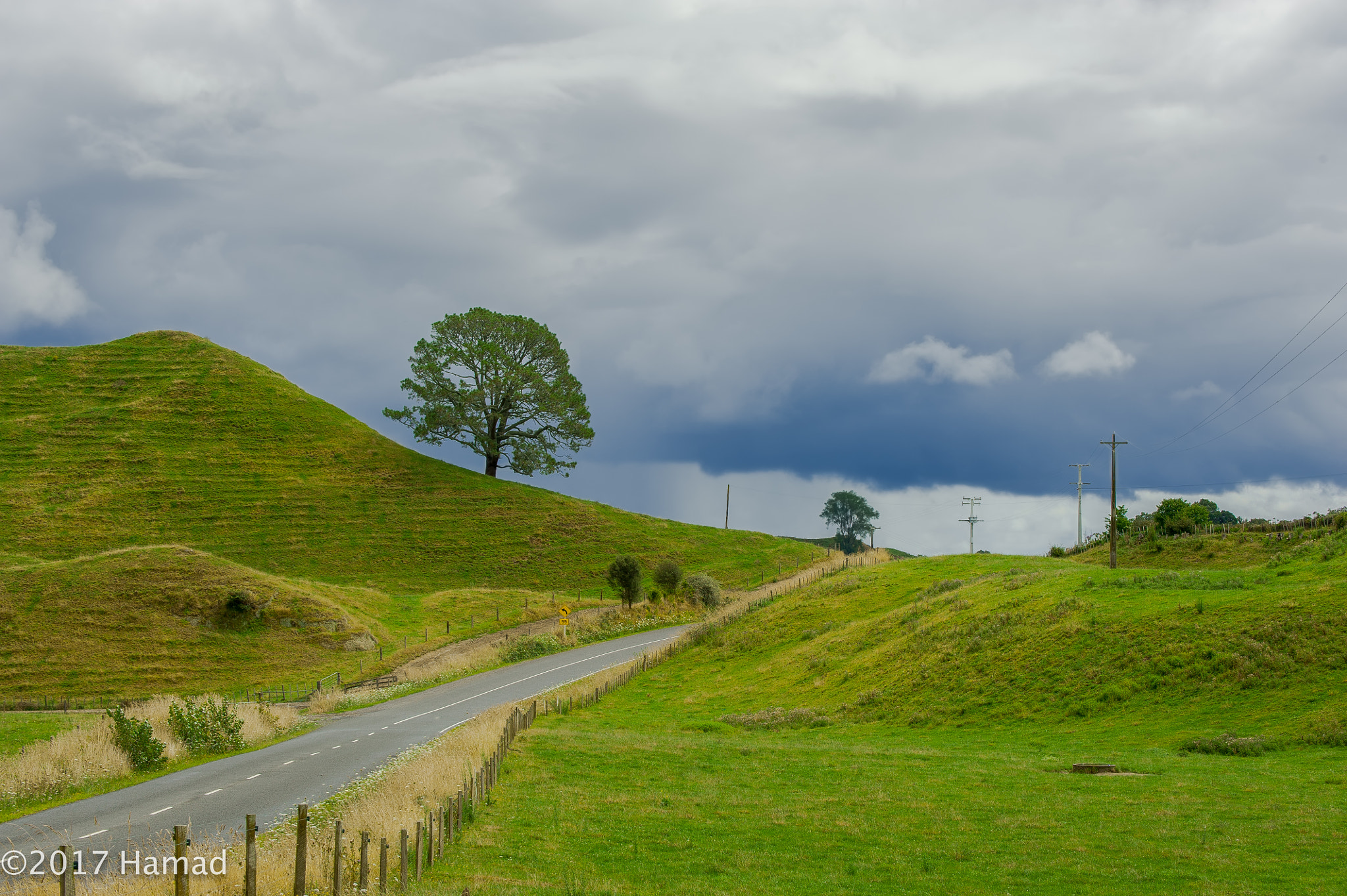 Nikon D700 sample photo. Lonely photography
