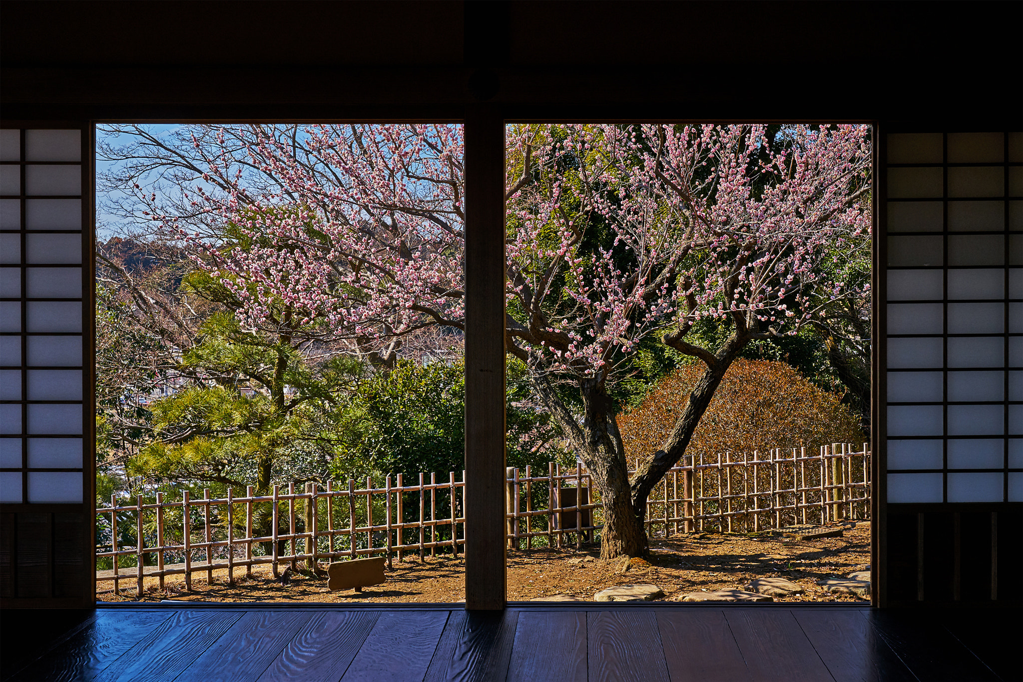 Sony a7 II sample photo. Garden frame photography