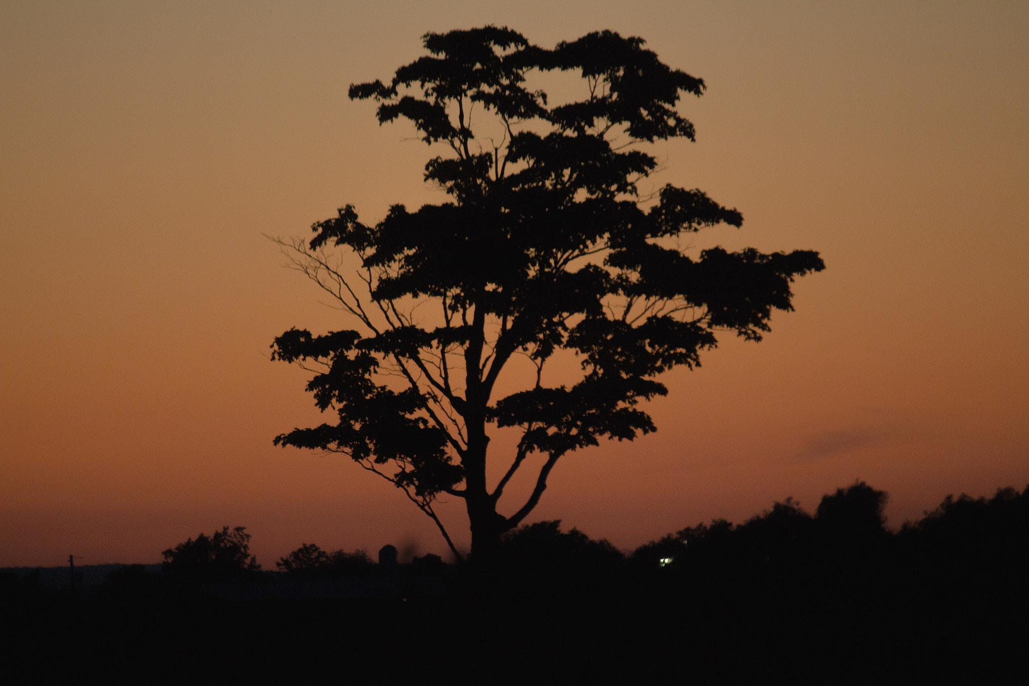 Canon EF-S 55-250mm F4-5.6 IS II sample photo. Savanna photography