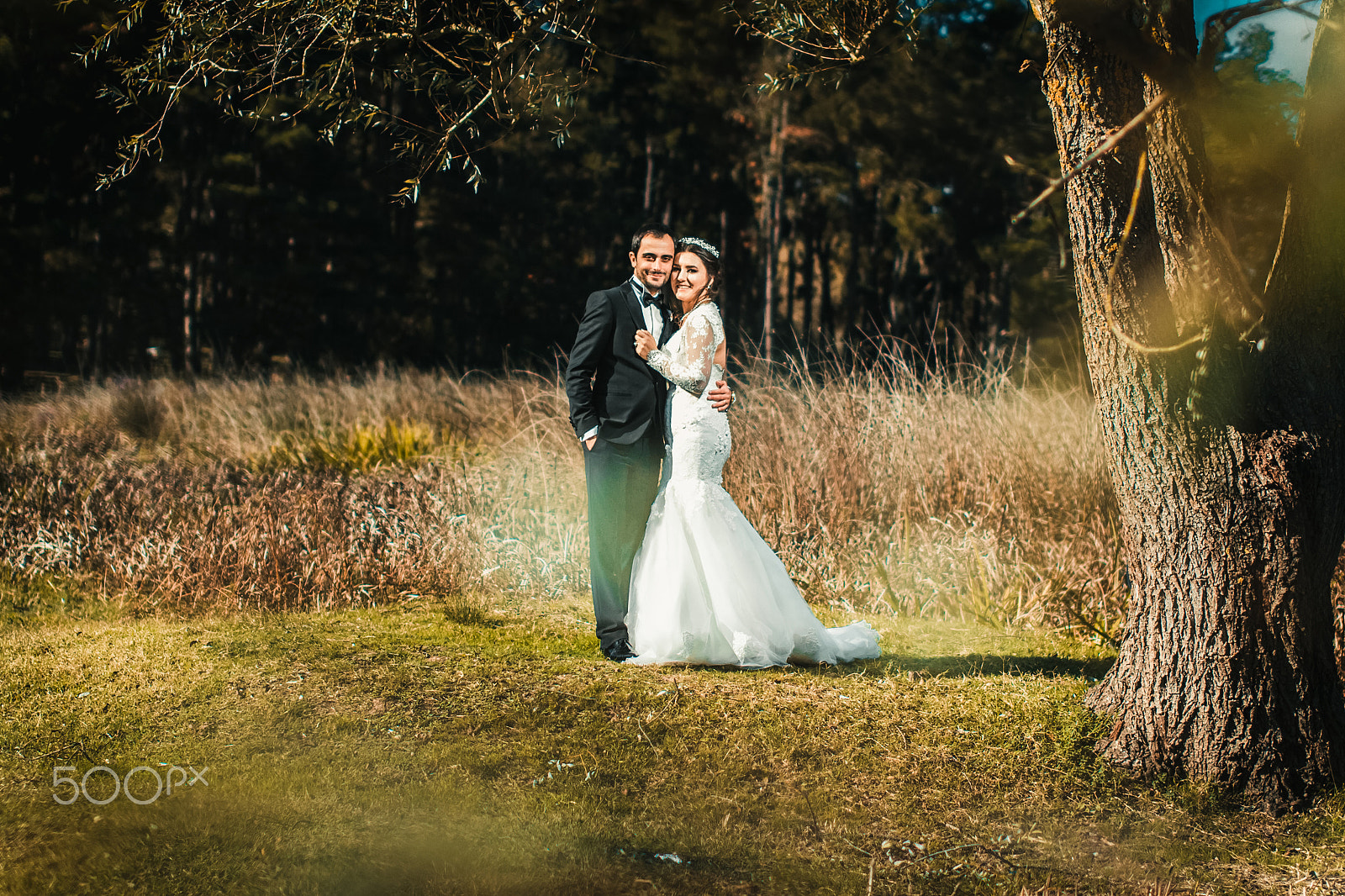 Sigma 50mm F1.4 EX DG HSM sample photo. Our lovely couples photography