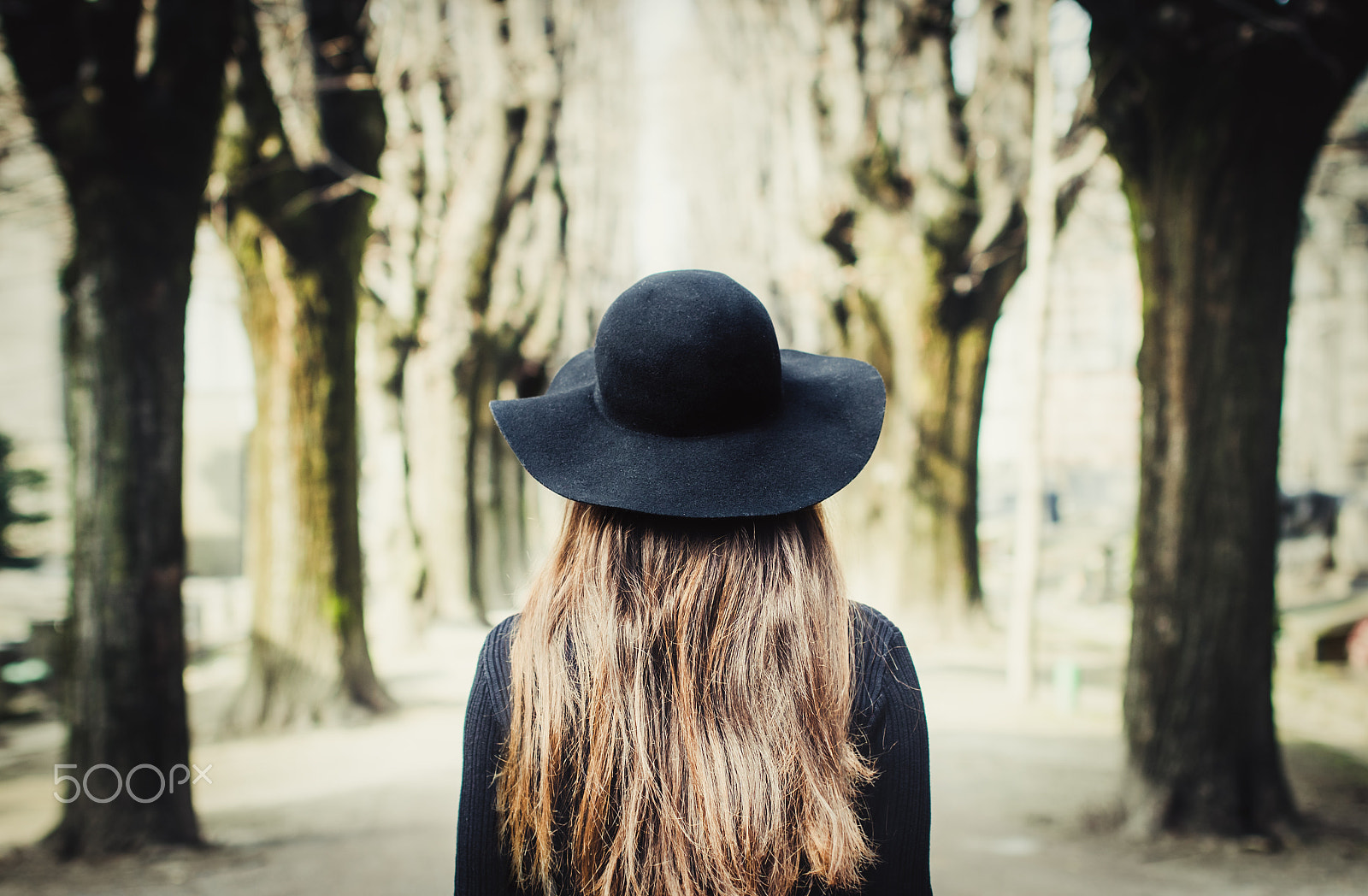 Sigma 50mm F1.4 EX DG HSM sample photo. Black hat photography