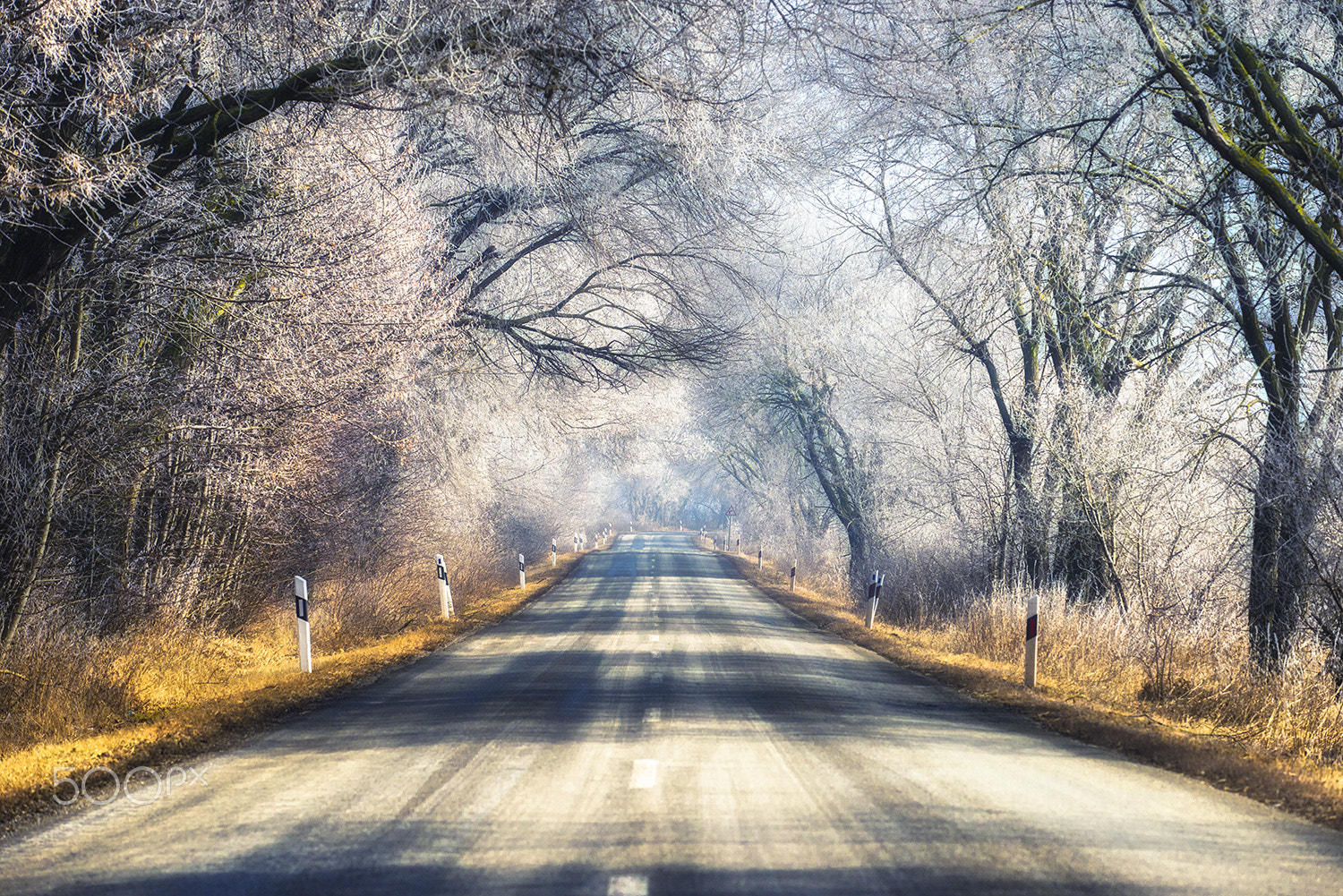 Nikon AF-S Nikkor 70-200mm F4G ED VR sample photo. Winter morning photography