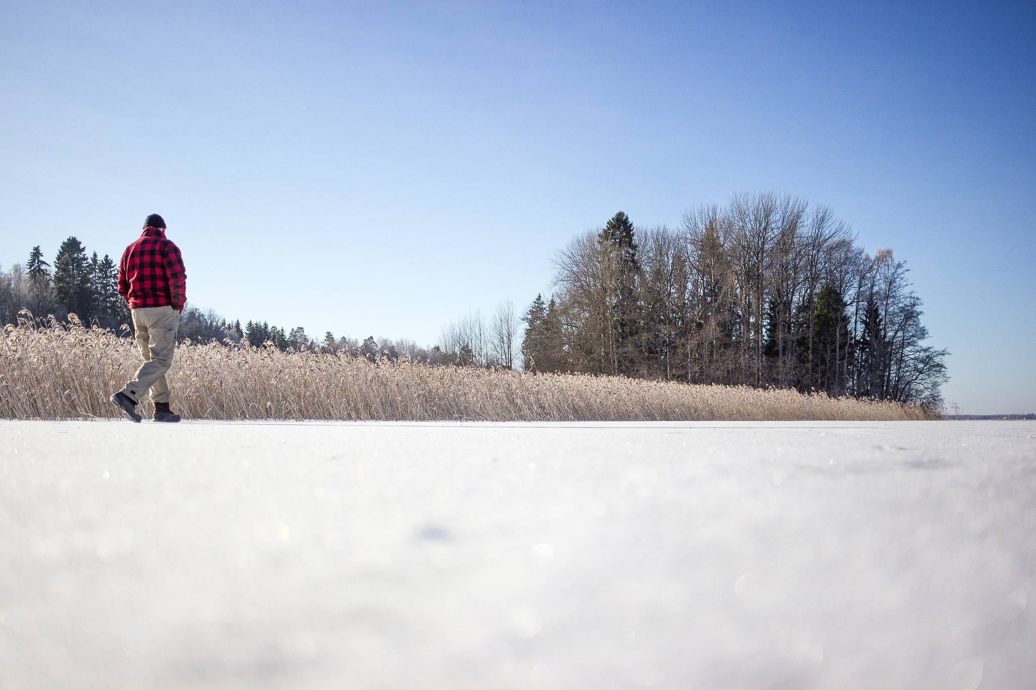 Canon EF-S 24mm F2.8 STM sample photo. Morning photography