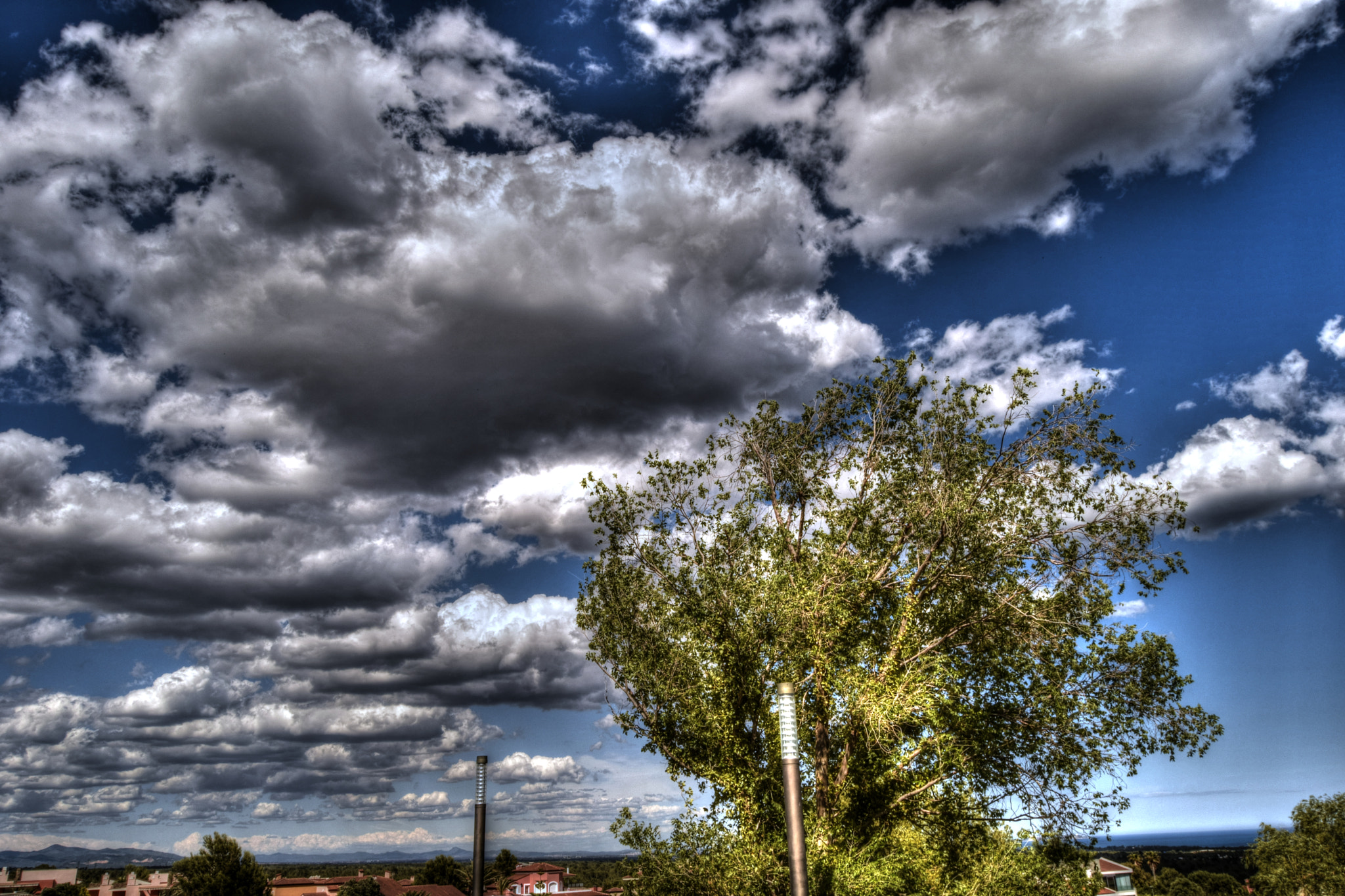 Nikon D5300 + Nikon AF-S DX Nikkor 18-55mm F3.5-5.6G II sample photo. Tree at bonnmont golf course photography