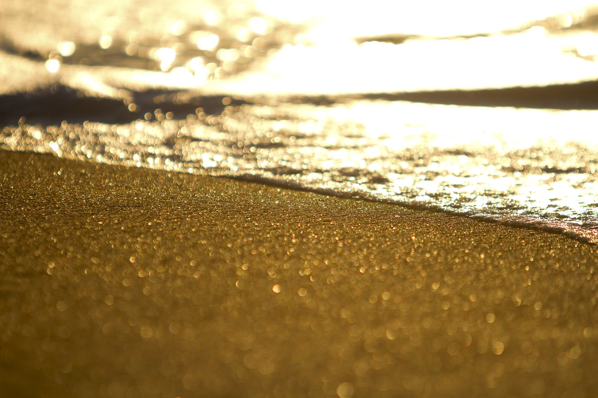 Canon EF 70-200mm F2.8L IS USM sample photo