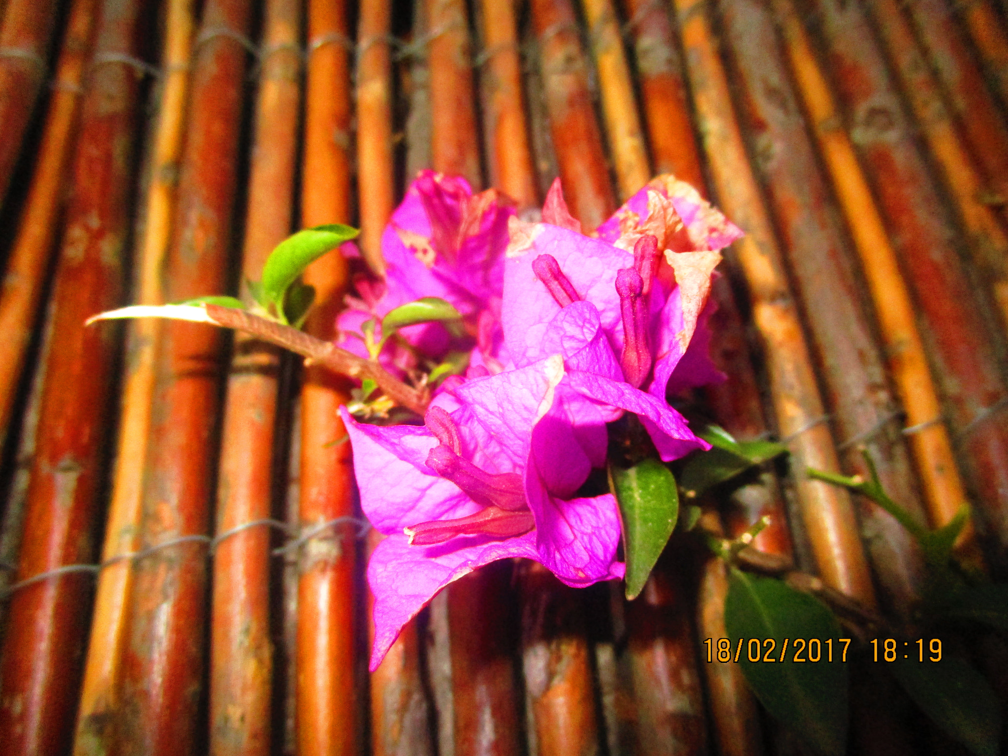 Canon PowerShot ELPH 150 IS (IXUS 155 / IXY 140) sample photo. Relax time photography