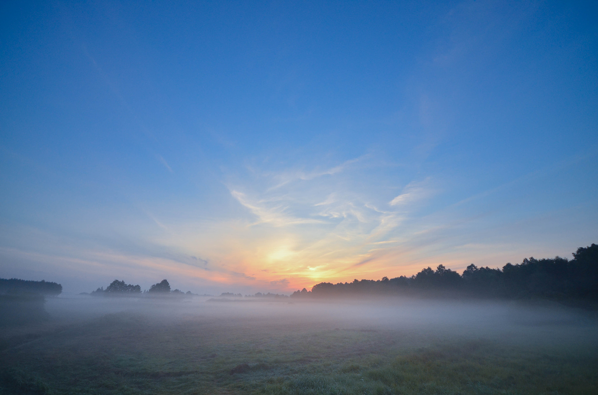 Sigma 10-20mm F4-5.6 EX DC HSM sample photo. Foggy autumn morning photography
