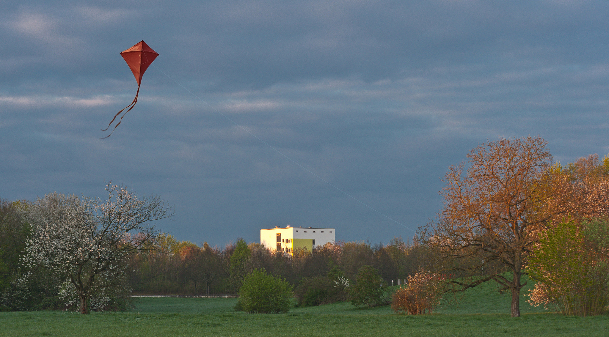 Nikon D700 sample photo. Morning kite photography