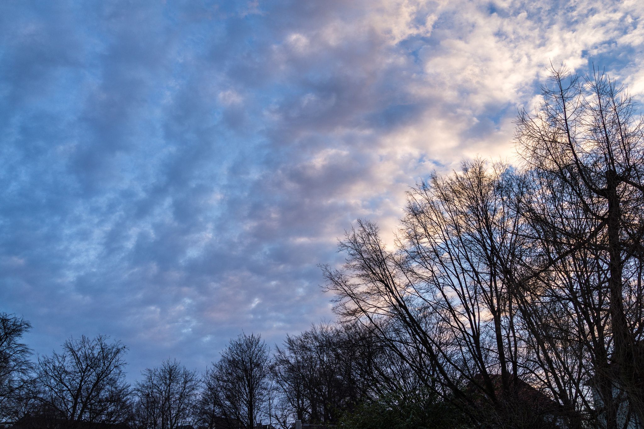 Sony Cyber-shot DSC-RX1 + 35mm F2.0 sample photo. Rosige zeiten nahen photography