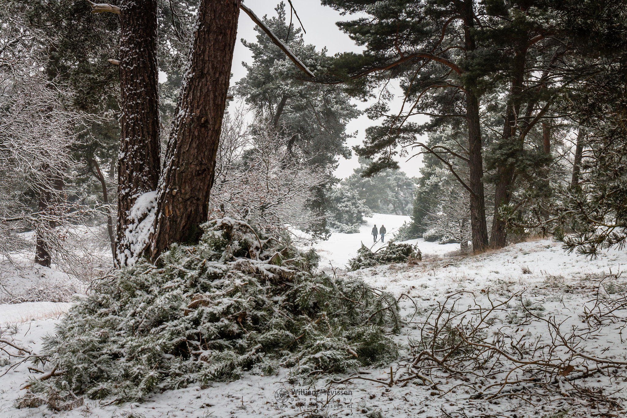 Canon EF 24-70mm F4L IS USM sample photo. Uphill photography