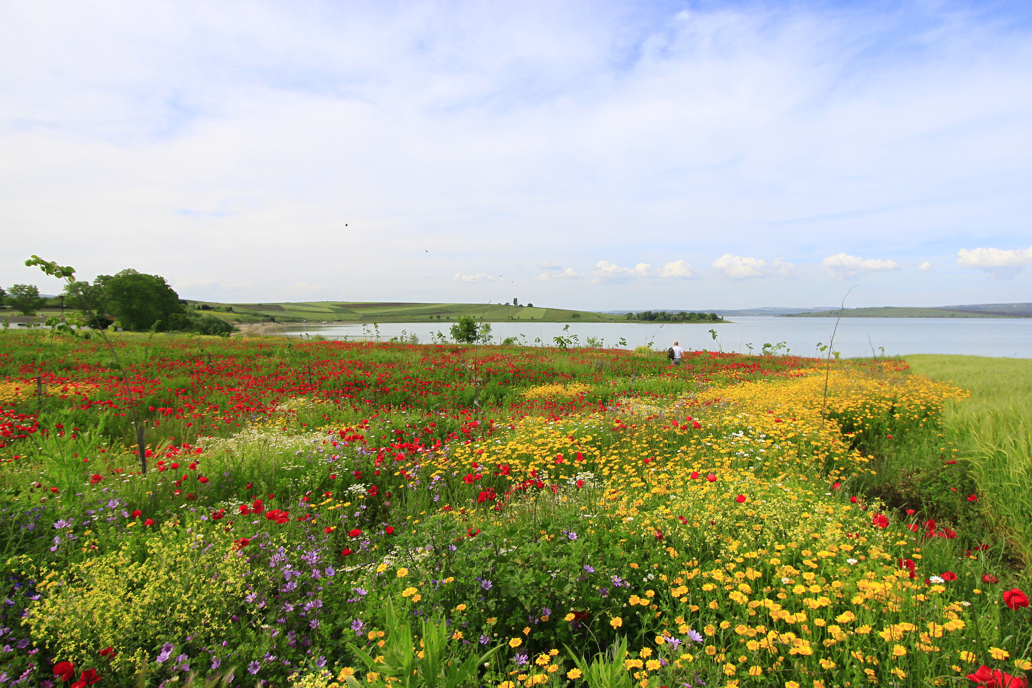 Canon EF-S 10-22mm F3.5-4.5 USM sample photo