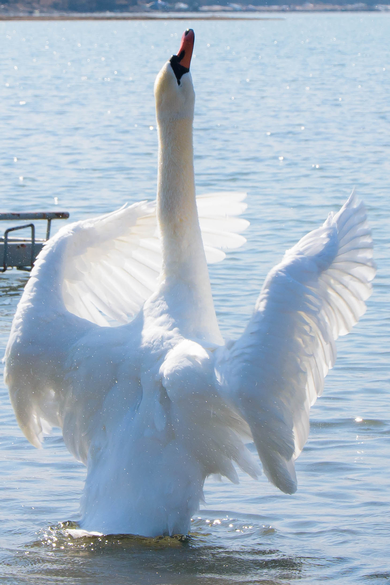 Nikon D7200 sample photo