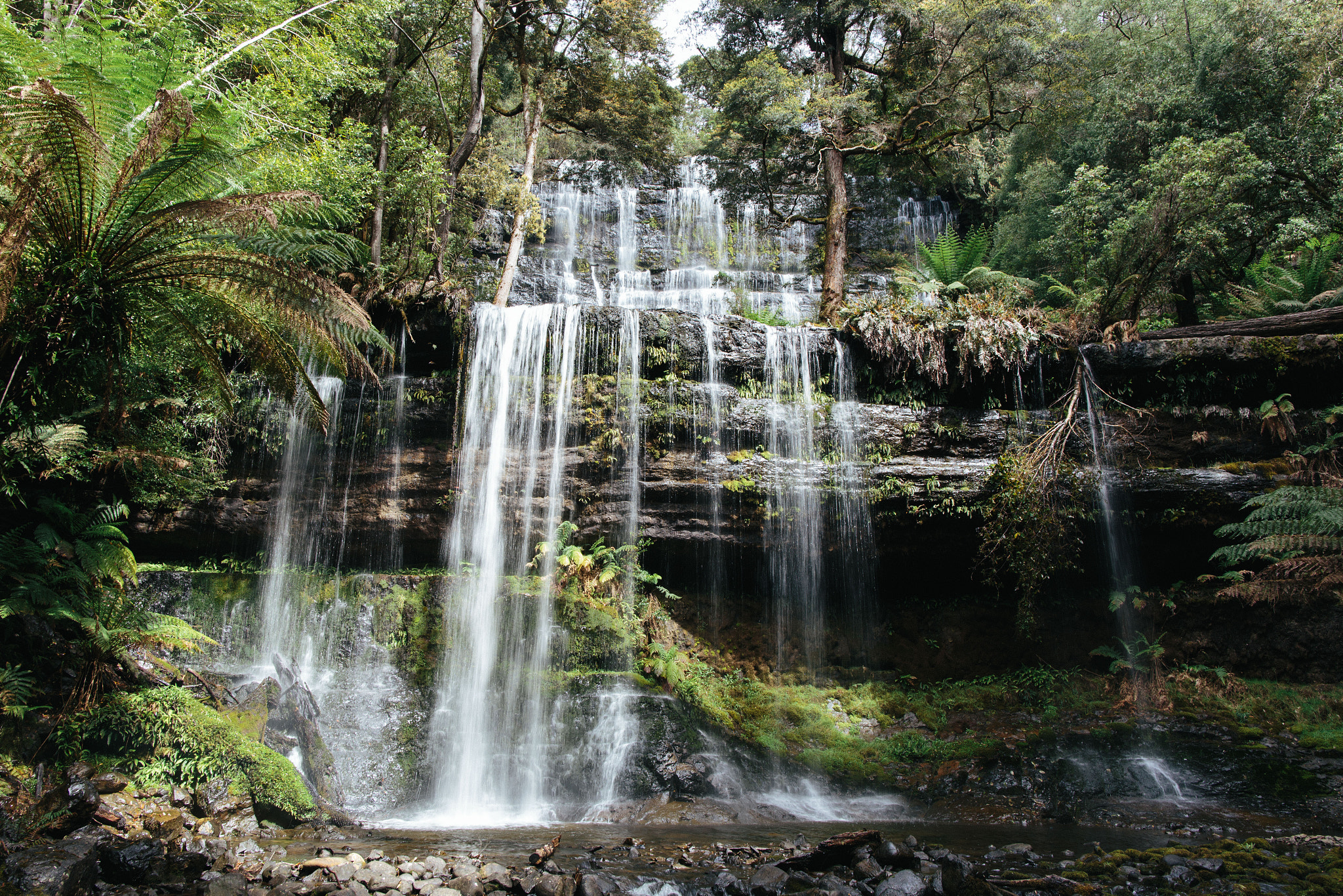 Canon EOS 6D sample photo. Russell falls, mt field national park, tasmania photography