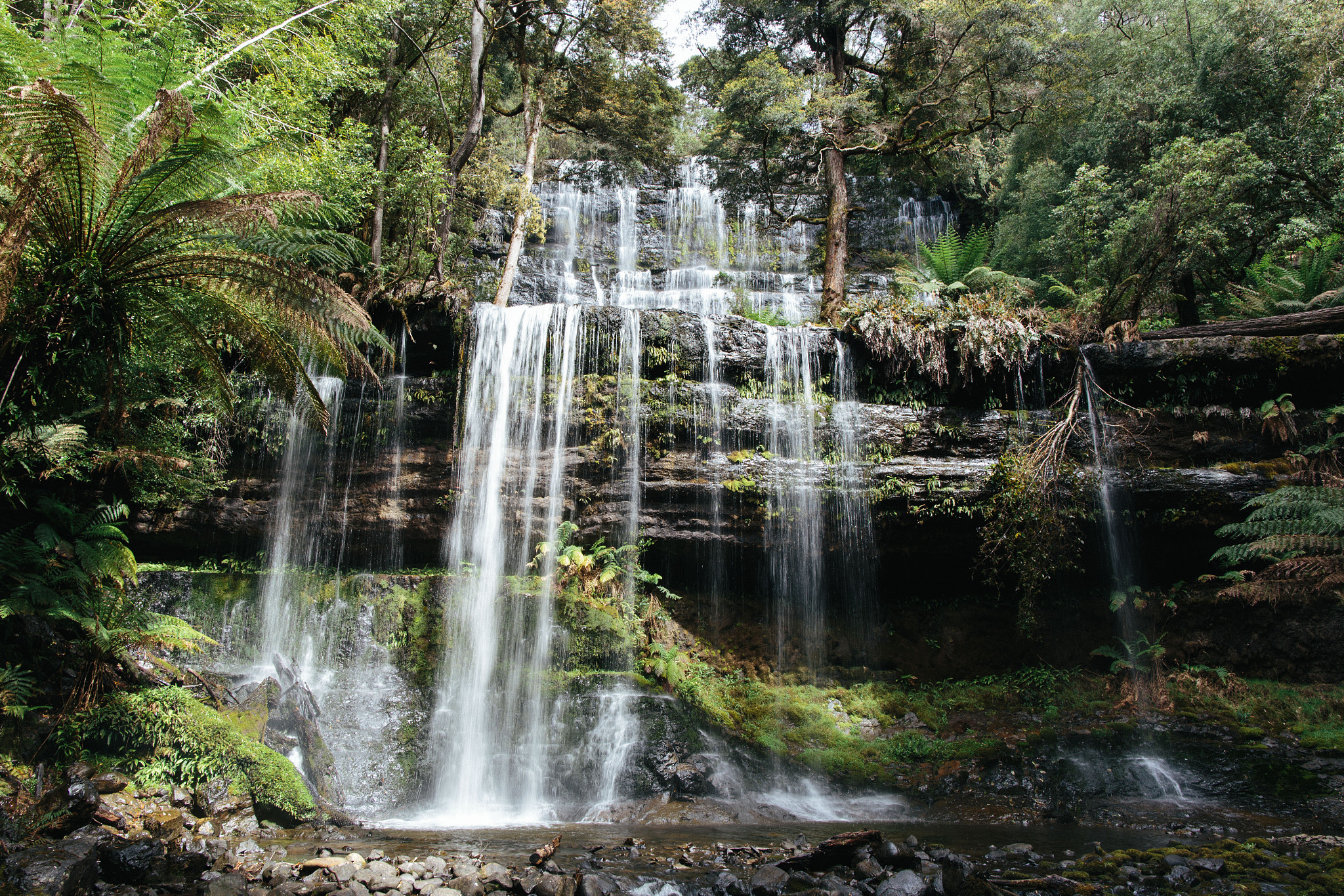 Canon EF 24mm F1.4L II USM sample photo. Russell falls, mt field national park, tasmania photography
