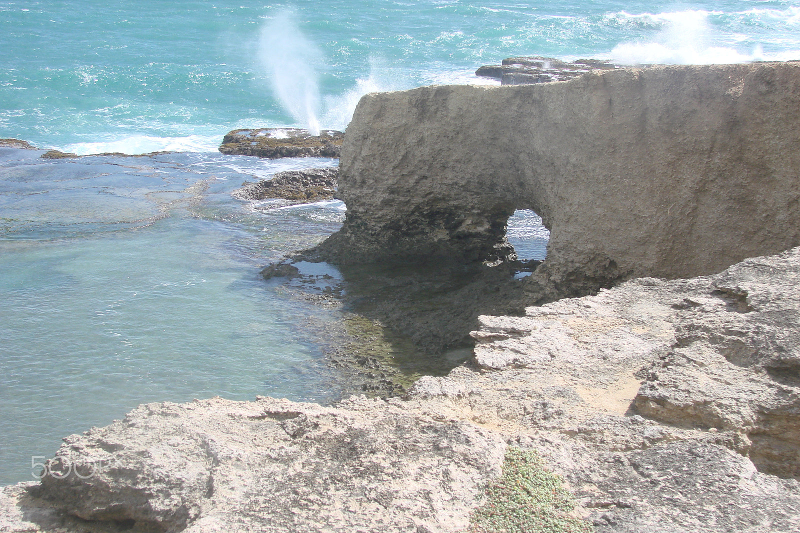 Sony DSC-H5 sample photo. Barbados photography