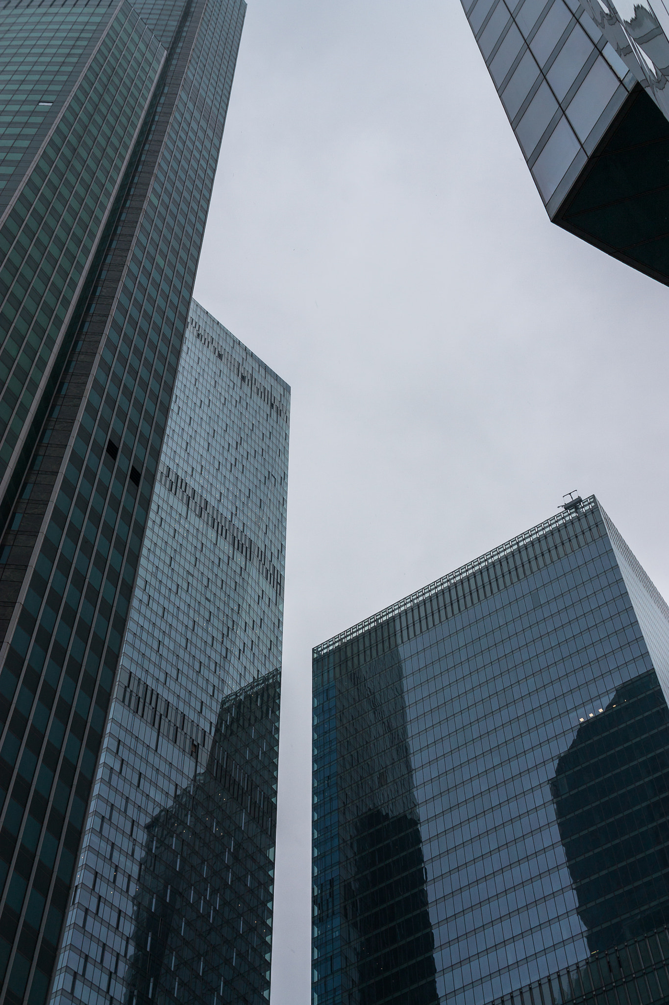 Sigma 30mm F1.4 EX DC HSM sample photo. Look up to the sky photography