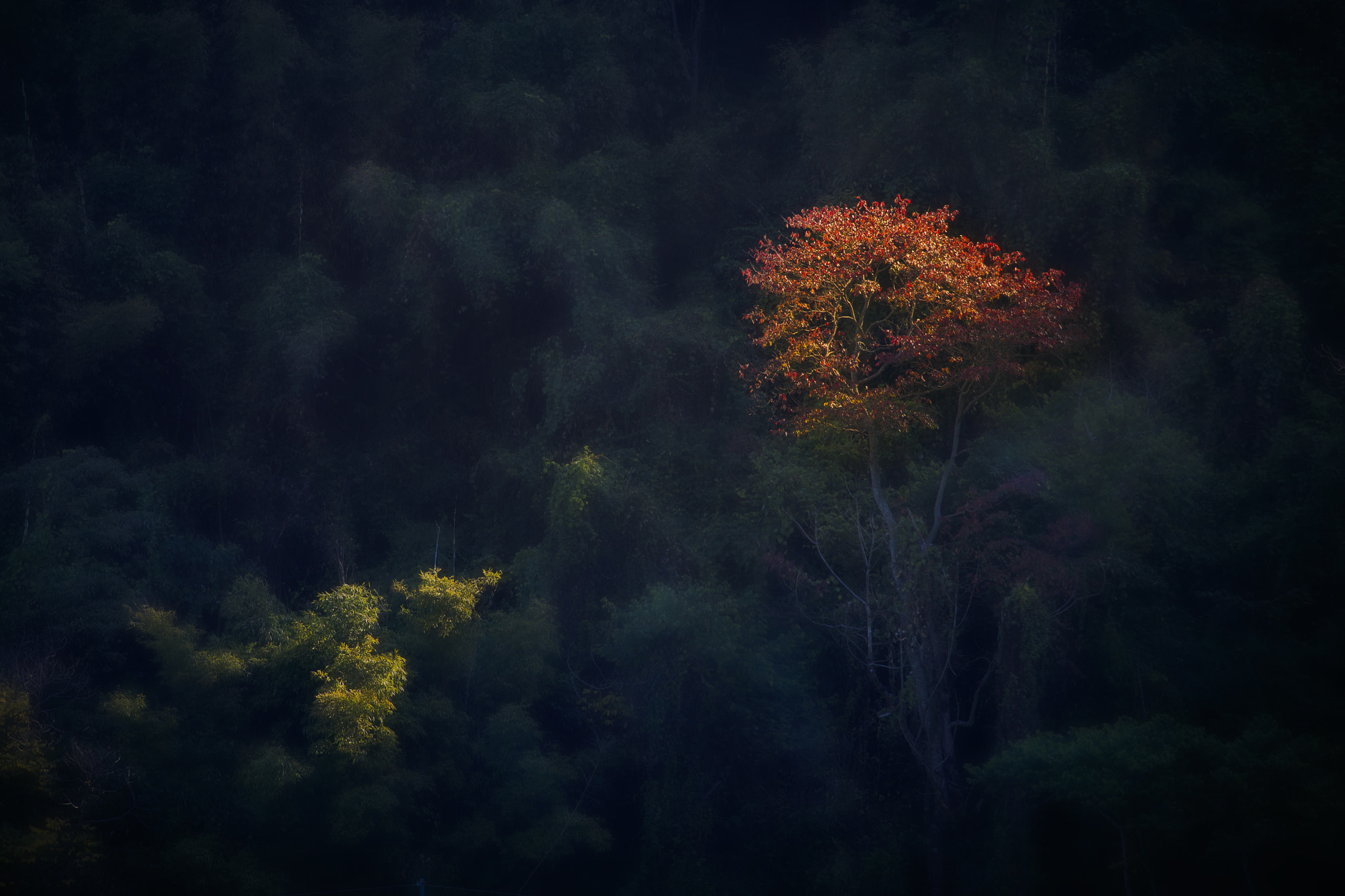 Canon EF 70-300mm F4-5.6L IS USM sample photo. 大雪山 photography