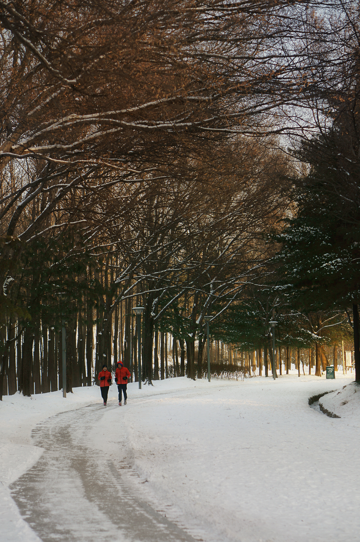 Sony Alpha NEX-6 sample photo. Running couple photography