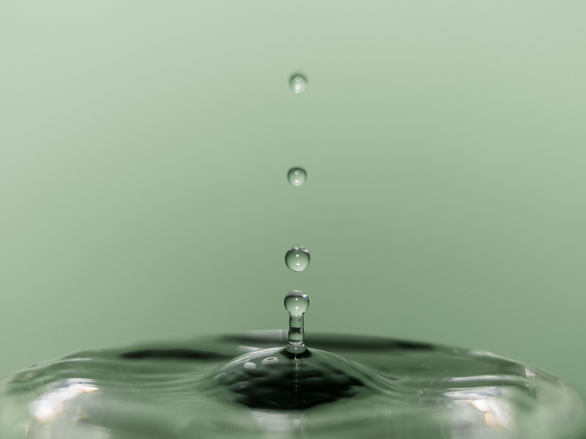 Nikon D750 + Sigma 24-70mm F2.8 EX DG Macro sample photo. Teo photography