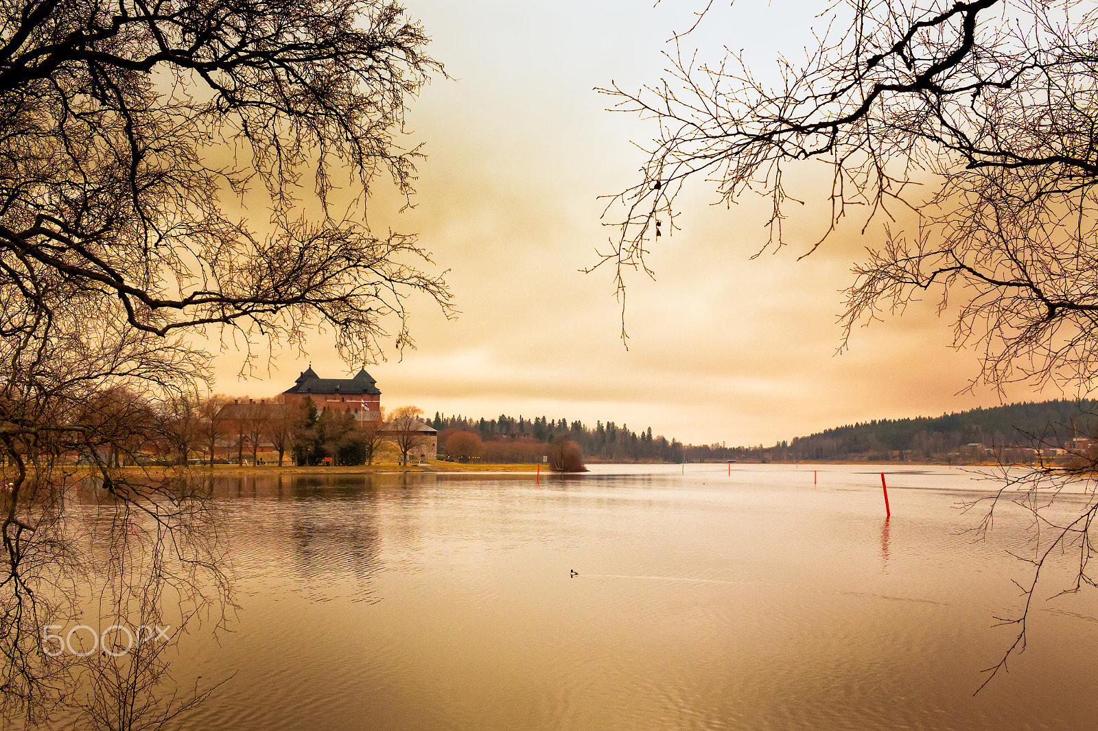 Canon EF-S 24mm F2.8 STM sample photo. Castle, lake and goldeneye photography