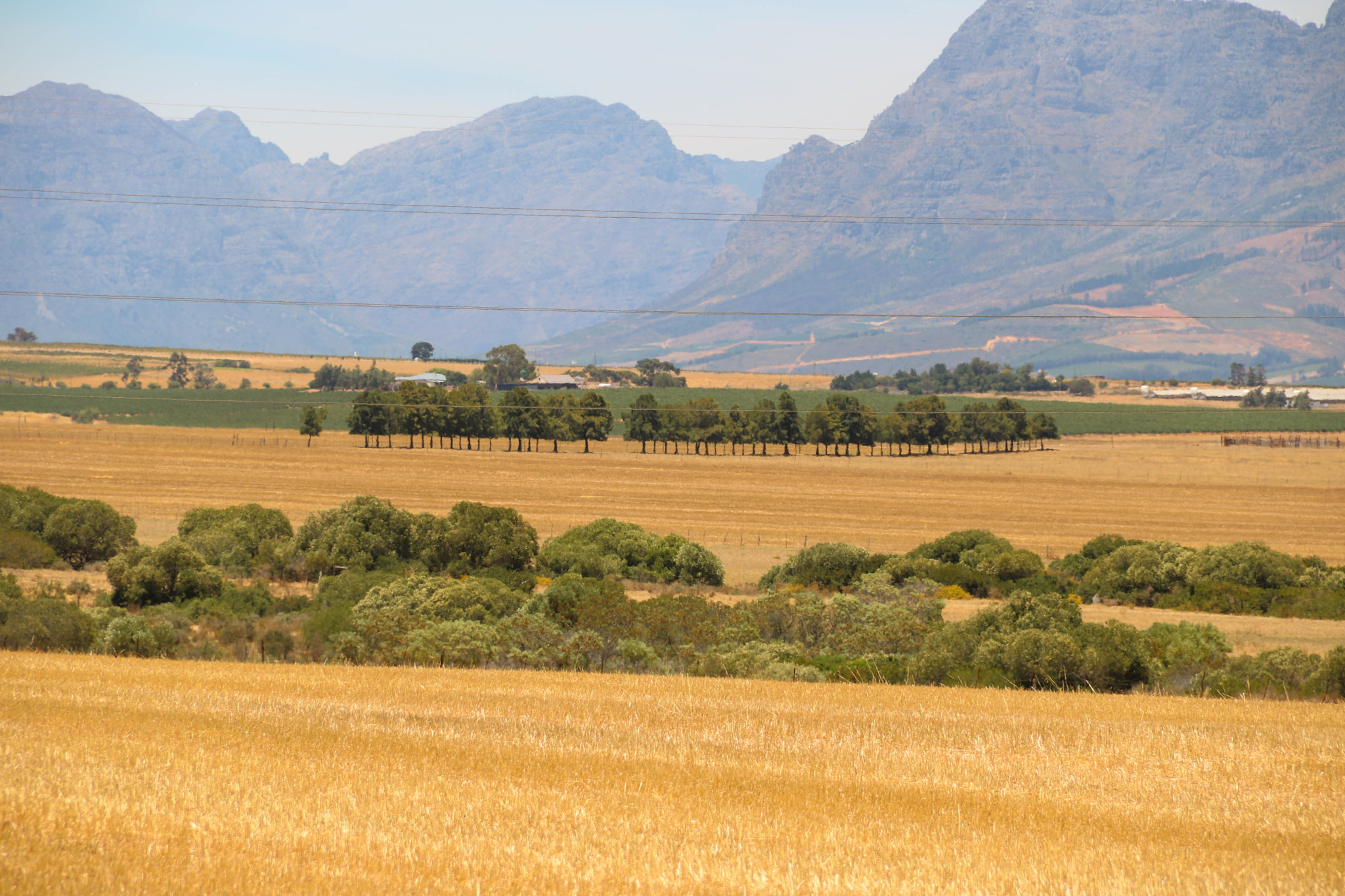 Canon EOS 750D (EOS Rebel T6i / EOS Kiss X8i) sample photo. Yellow harvest photography