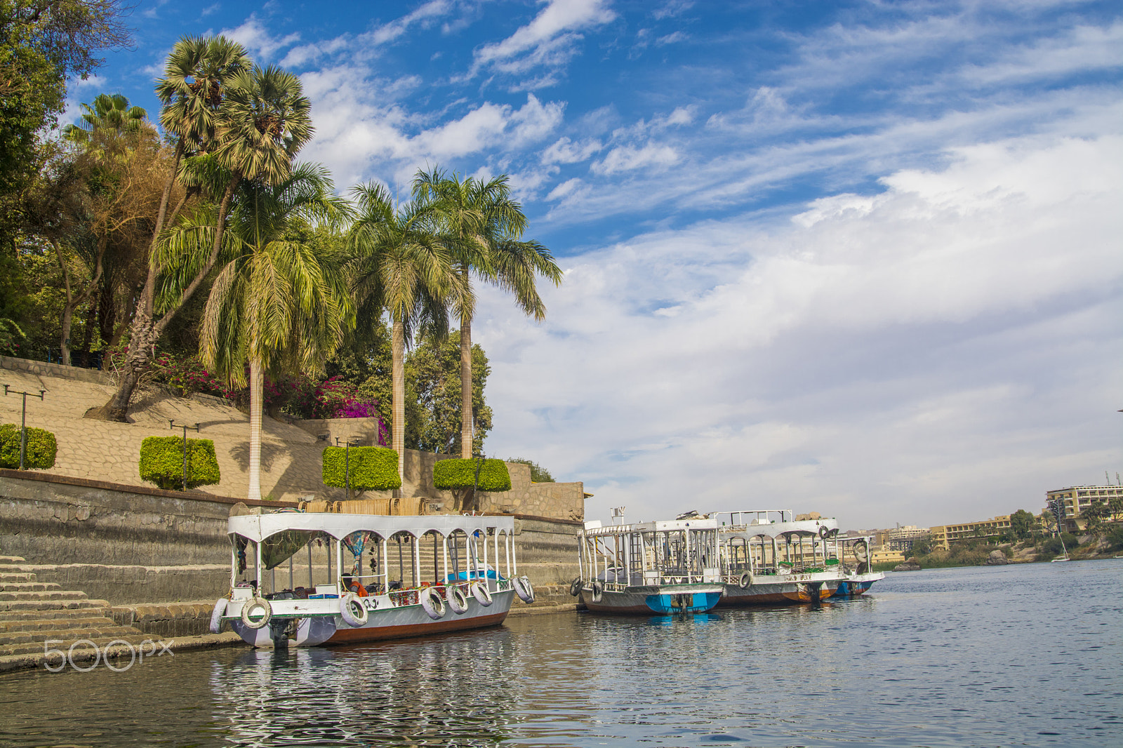 Nikon D7100 + Sigma 24-105mm F4 DG OS HSM Art sample photo. The plants island & nile river in aswan , egypt photography