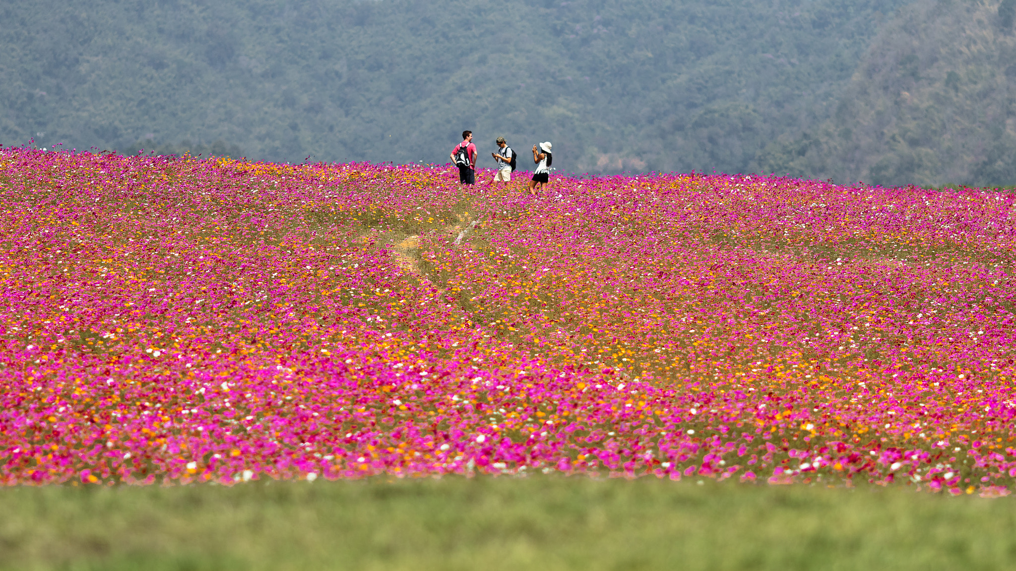 Canon EOS 7D Mark II + Canon EF 135mm F2L USM sample photo. Three of us photography