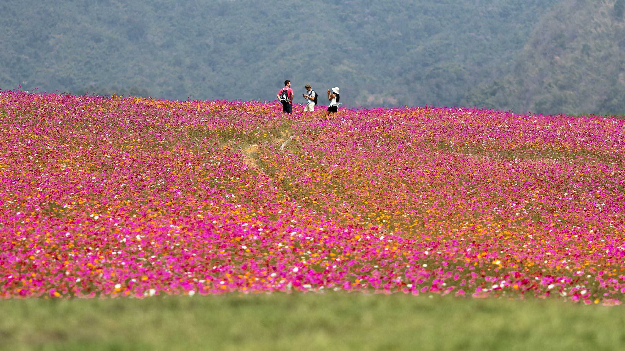 Canon EOS 7D Mark II sample photo. Three of us photography