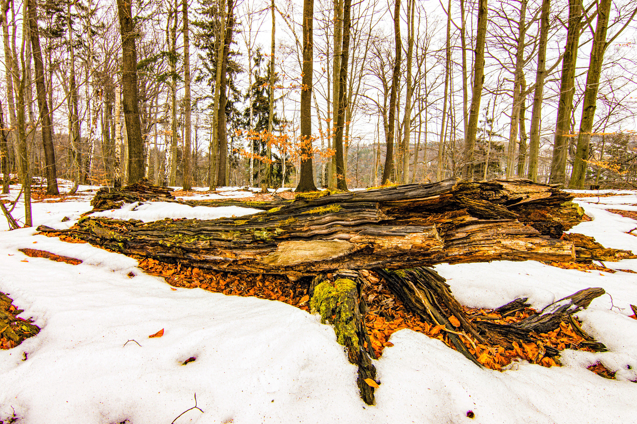 Tokina AT-X Pro 11-16mm F2.8 DX II sample photo. Am wegesrand photography