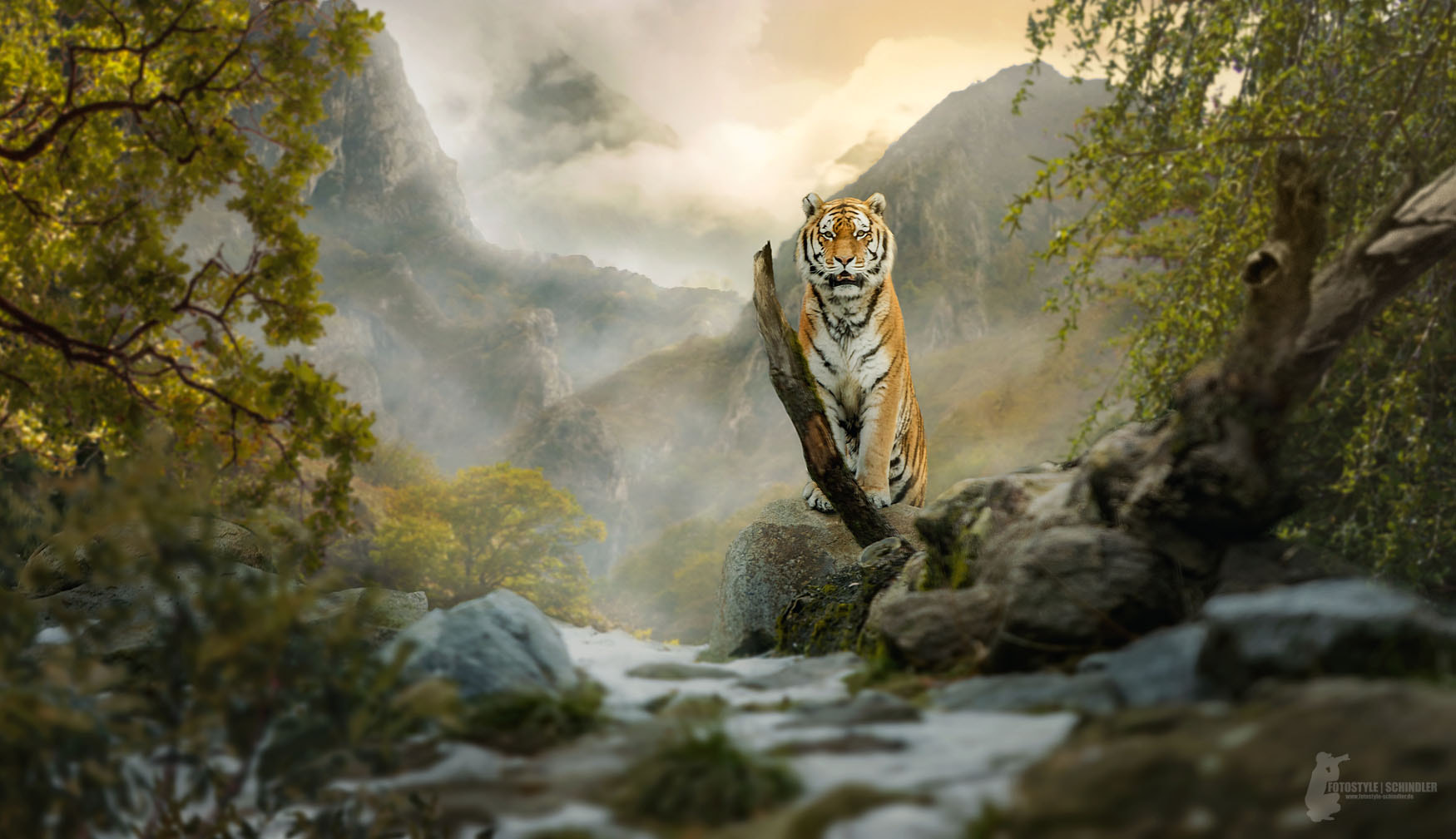 Canon EF 70-200mm F2.8L USM sample photo. Siberian tiger photography