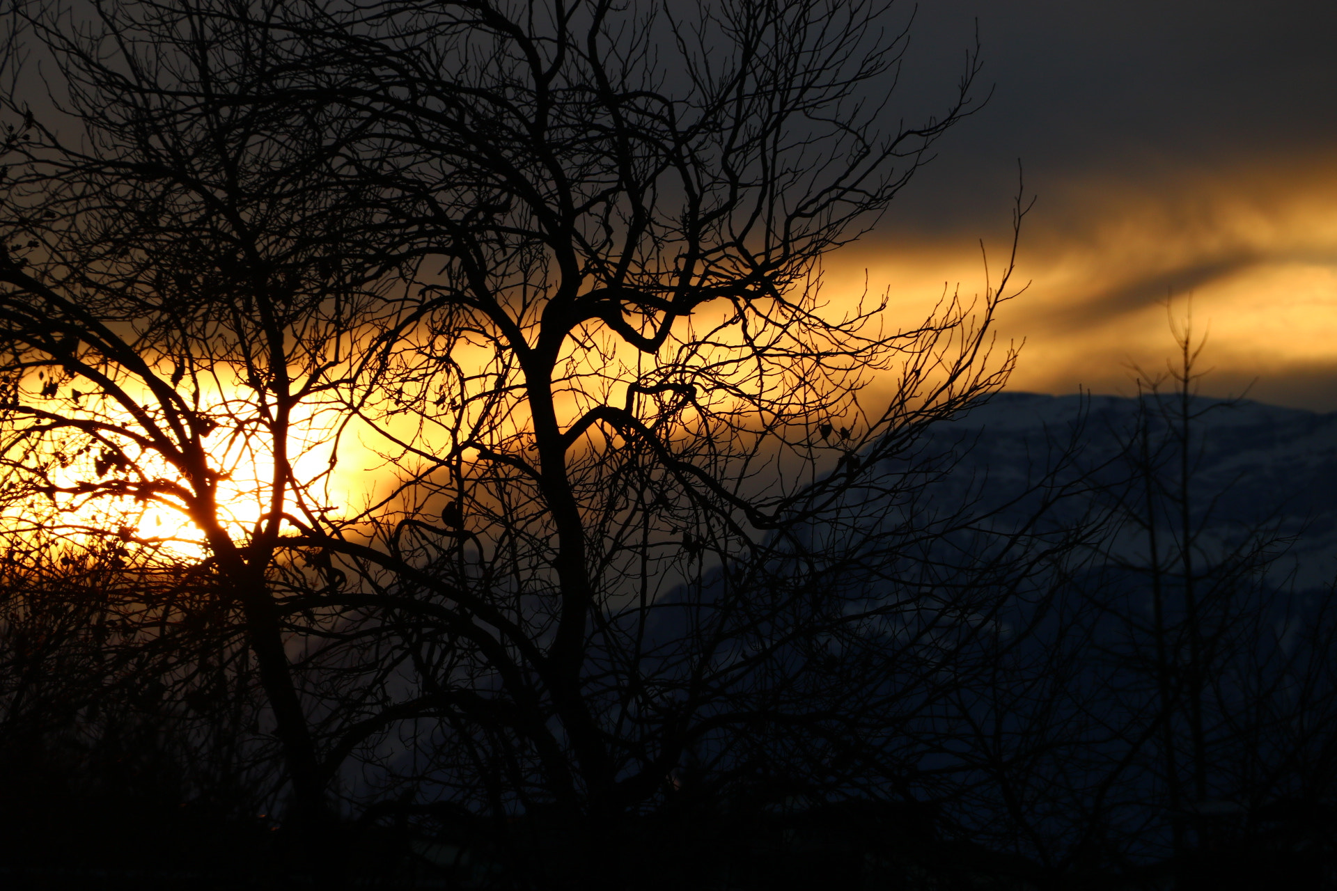 Canon EOS 750D (EOS Rebel T6i / EOS Kiss X8i) sample photo