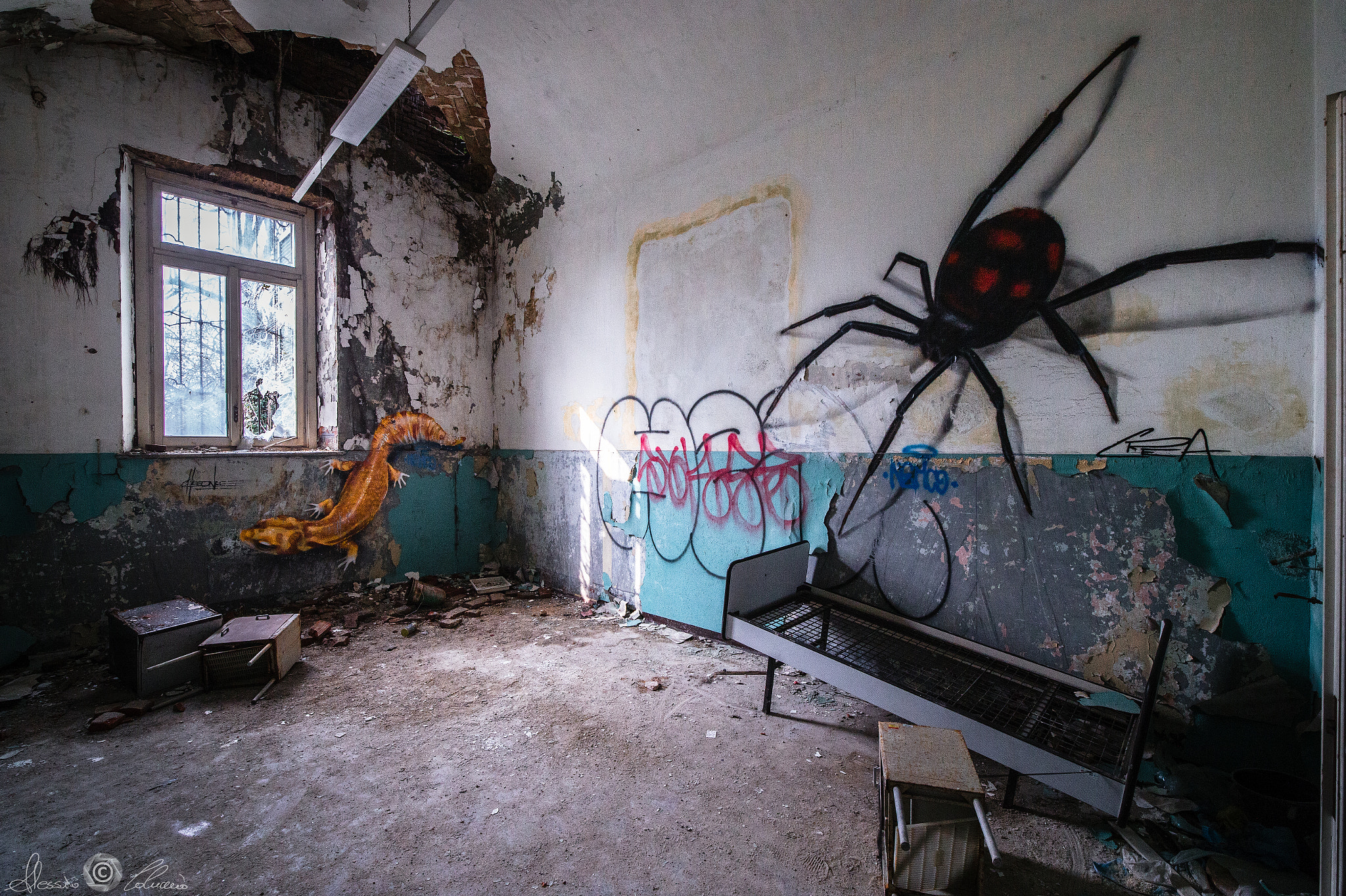 ZEISS Distagon T* 15mm F2.8 sample photo. The abandoned crazy room photography