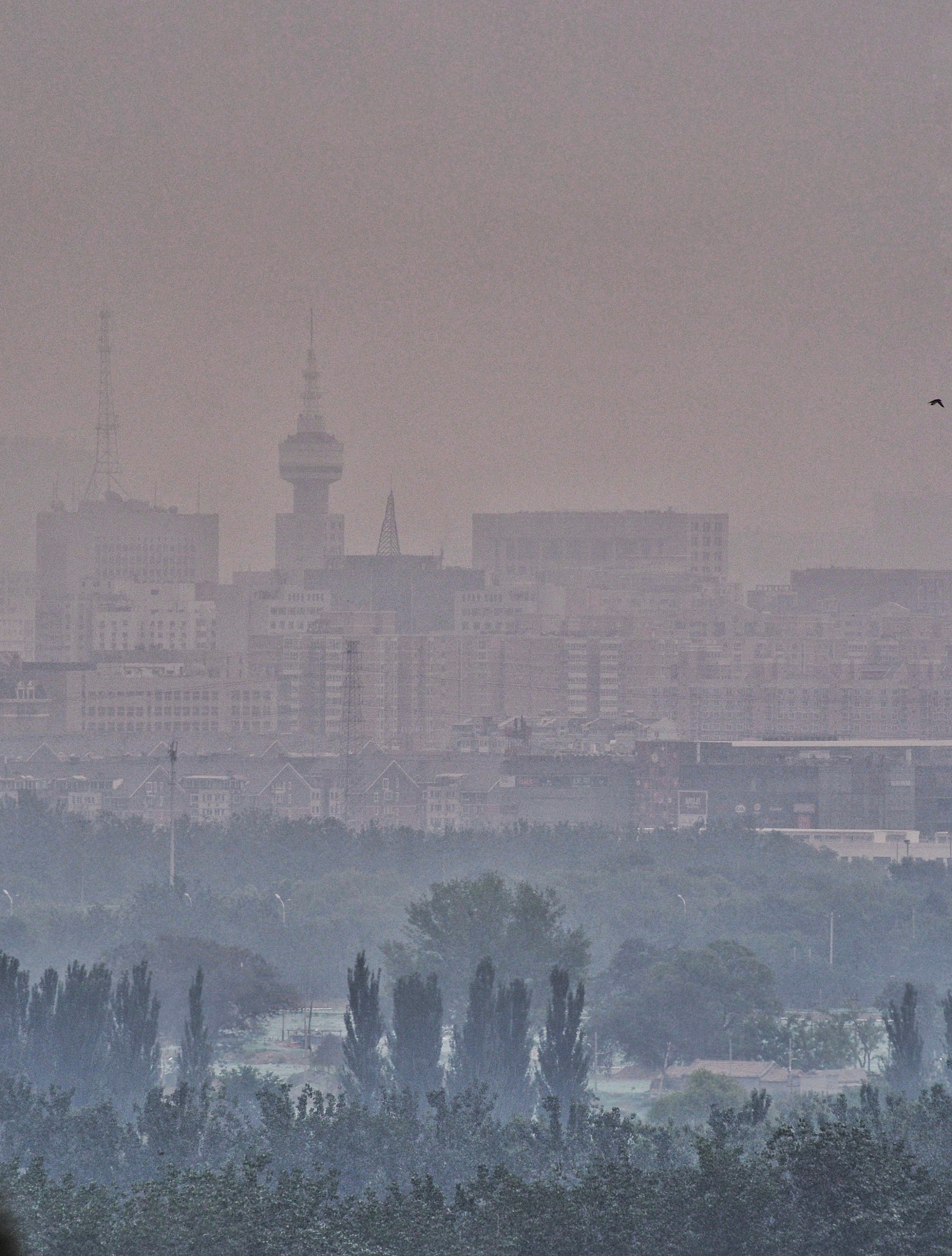 Olympus OM-D E-M5 sample photo. City view from a hill photography