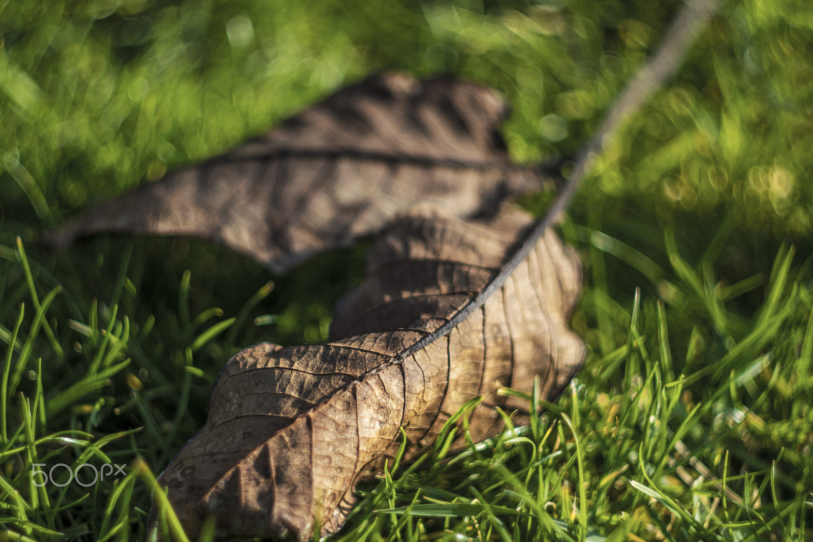 Canon EF 35-80mm f/4-5.6 sample photo. List photography