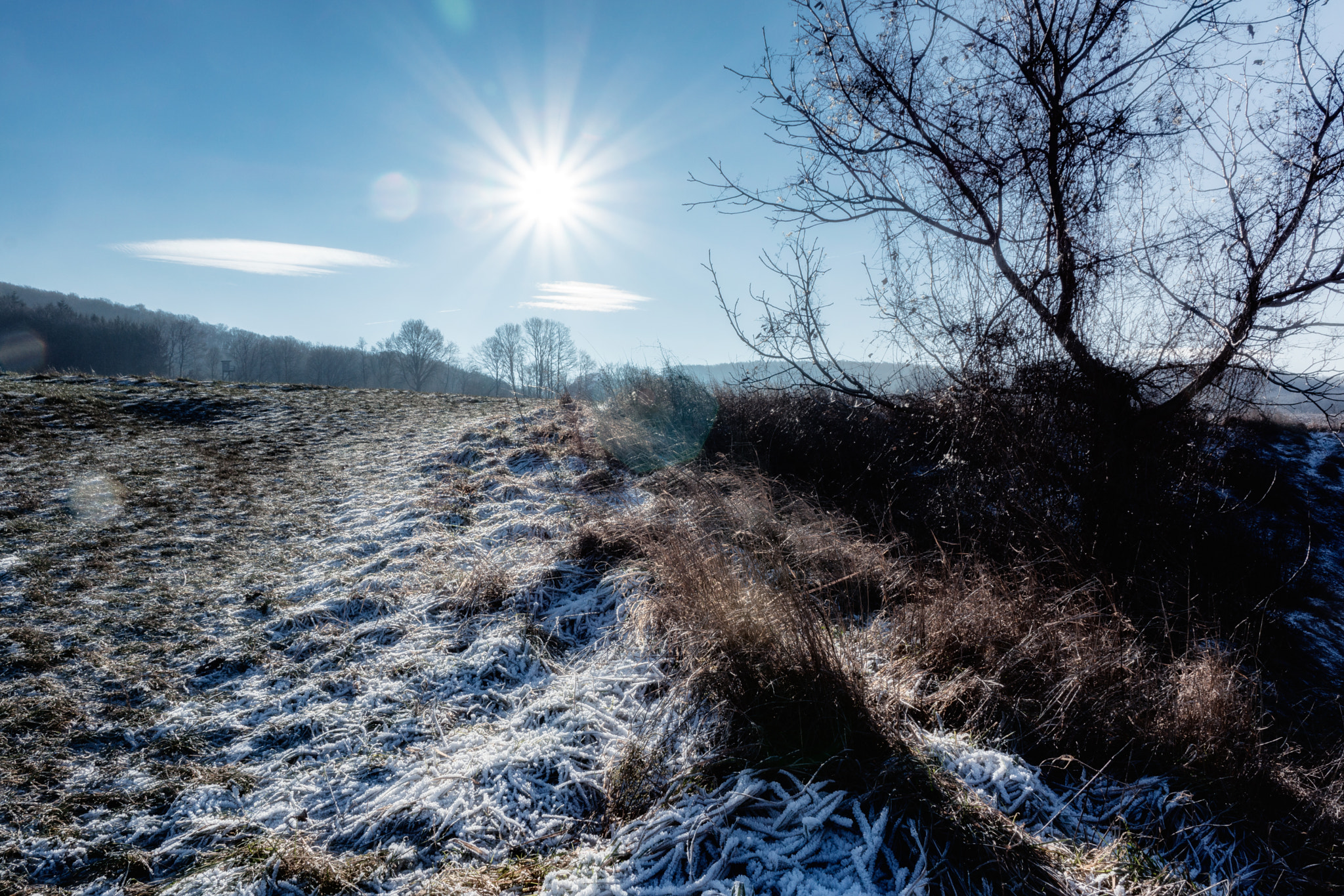 Sony DT 18-135mm F3.5-5.6 SAM sample photo. A sunny winter’s day photography