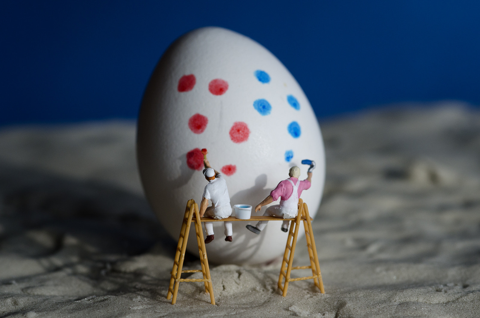 Nikon D7000 + Sigma 105mm F2.8 EX DG Macro sample photo. Egg painters photography