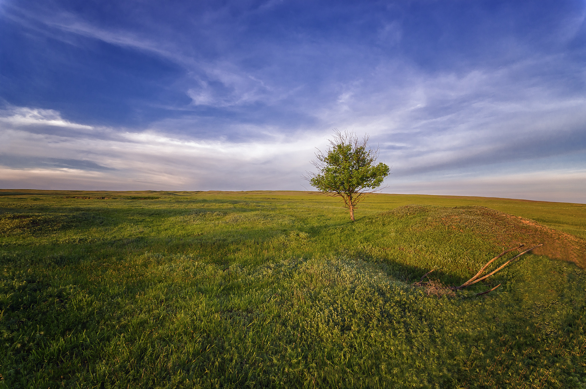 Sigma AF 10-20mm F4-5.6 EX DC sample photo. Spring. photography