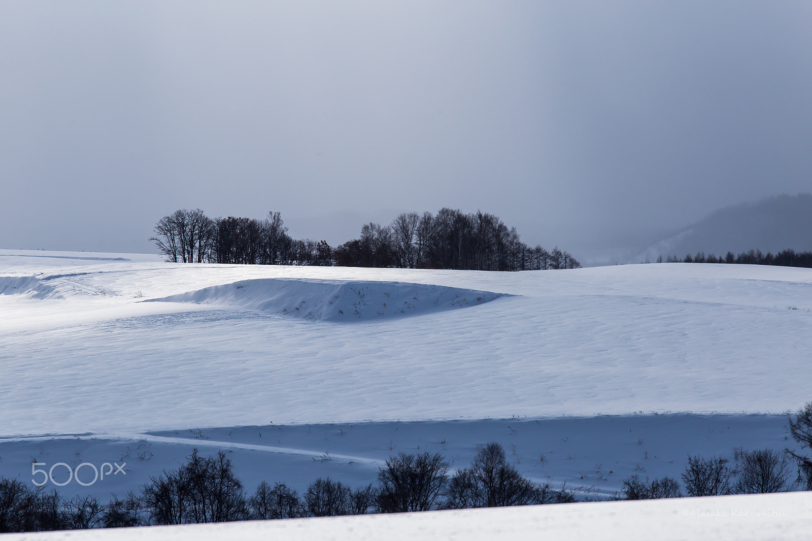 Canon EF 70-200mm F4L IS USM sample photo. Quiet windscreen photography