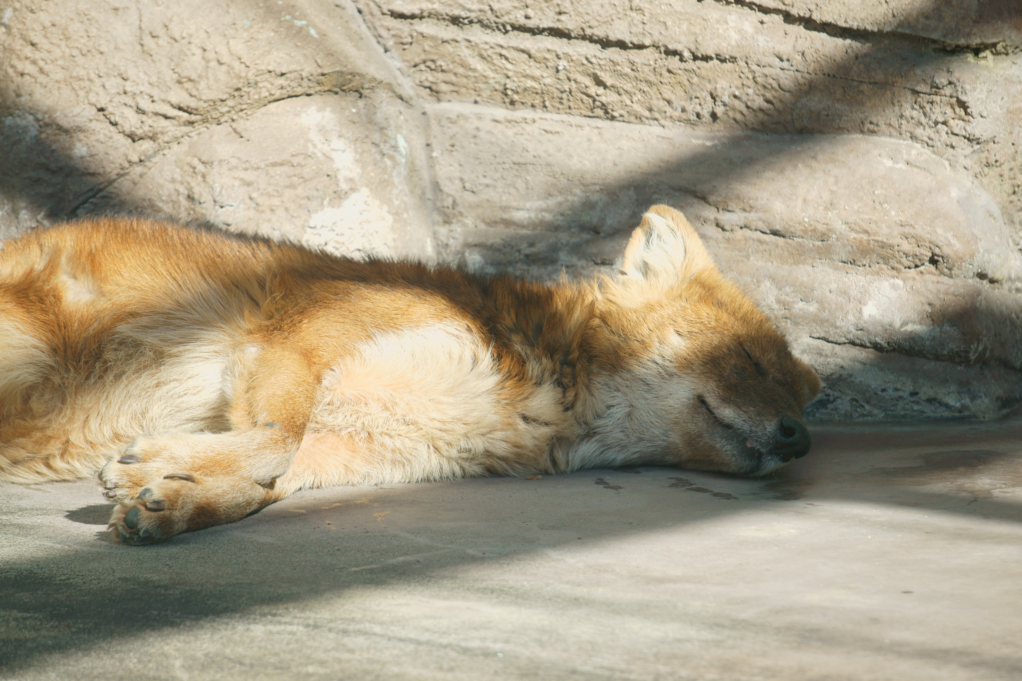 Sony FE 24-240mm F3.5-6.3 OSS sample photo. 時には休息も photography
