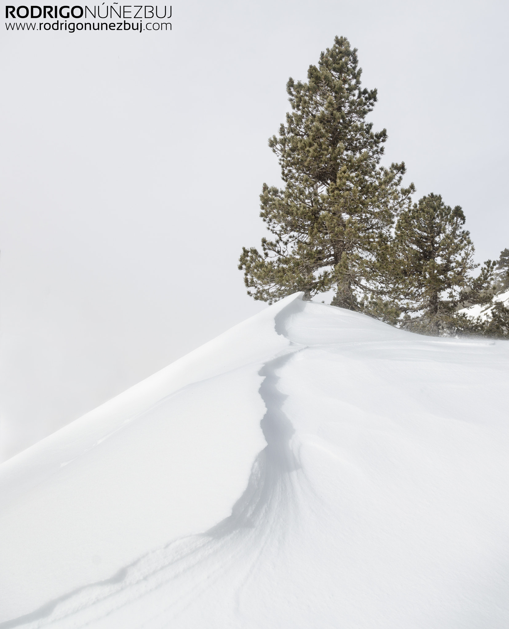 Canon EOS 5DS R sample photo. Y al marcarse la nieve... photography