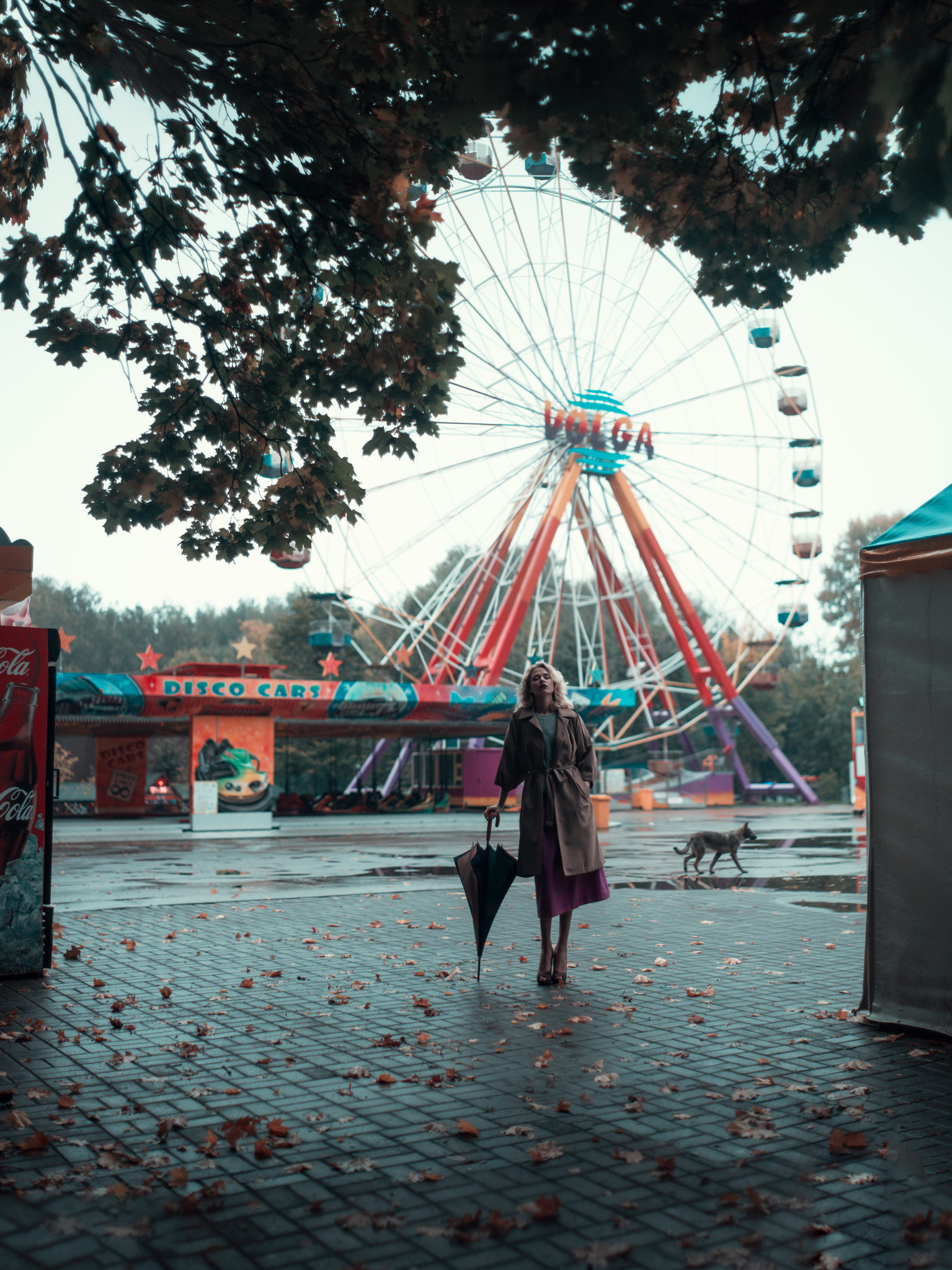 Sony Alpha DSLR-A850 + Minolta AF 50mm F1.7 sample photo. Autumn park photography