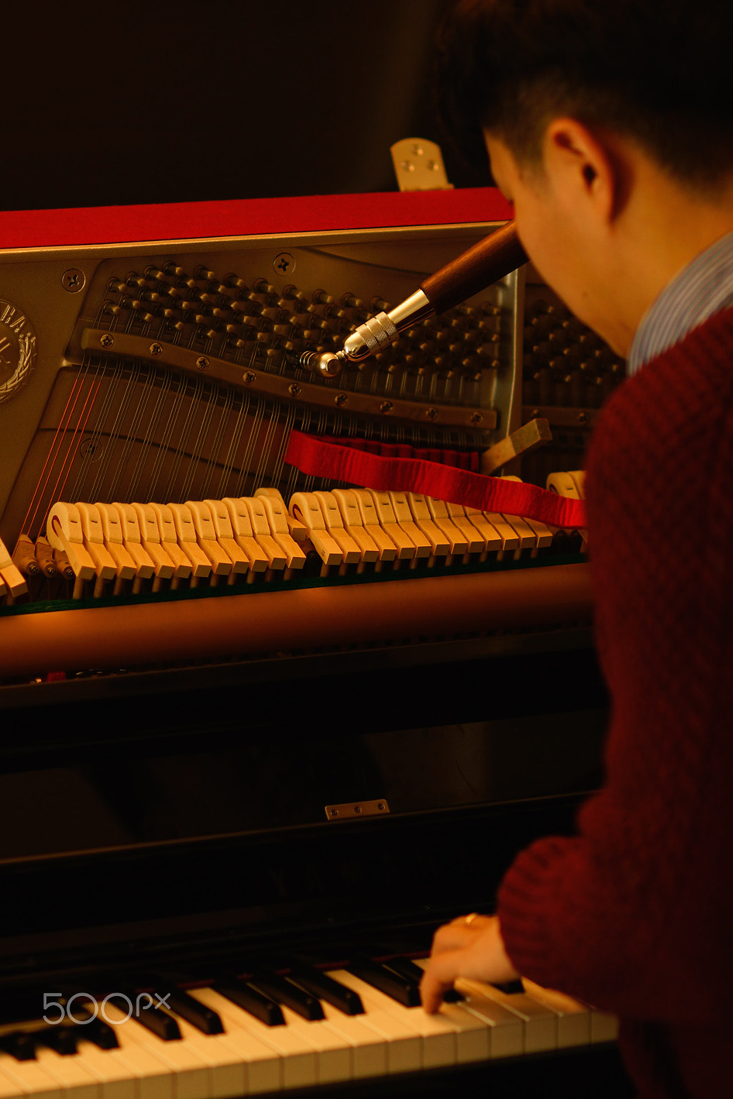 Sony Planar T* 85mm F1.4 ZA sample photo. Tuning photography
