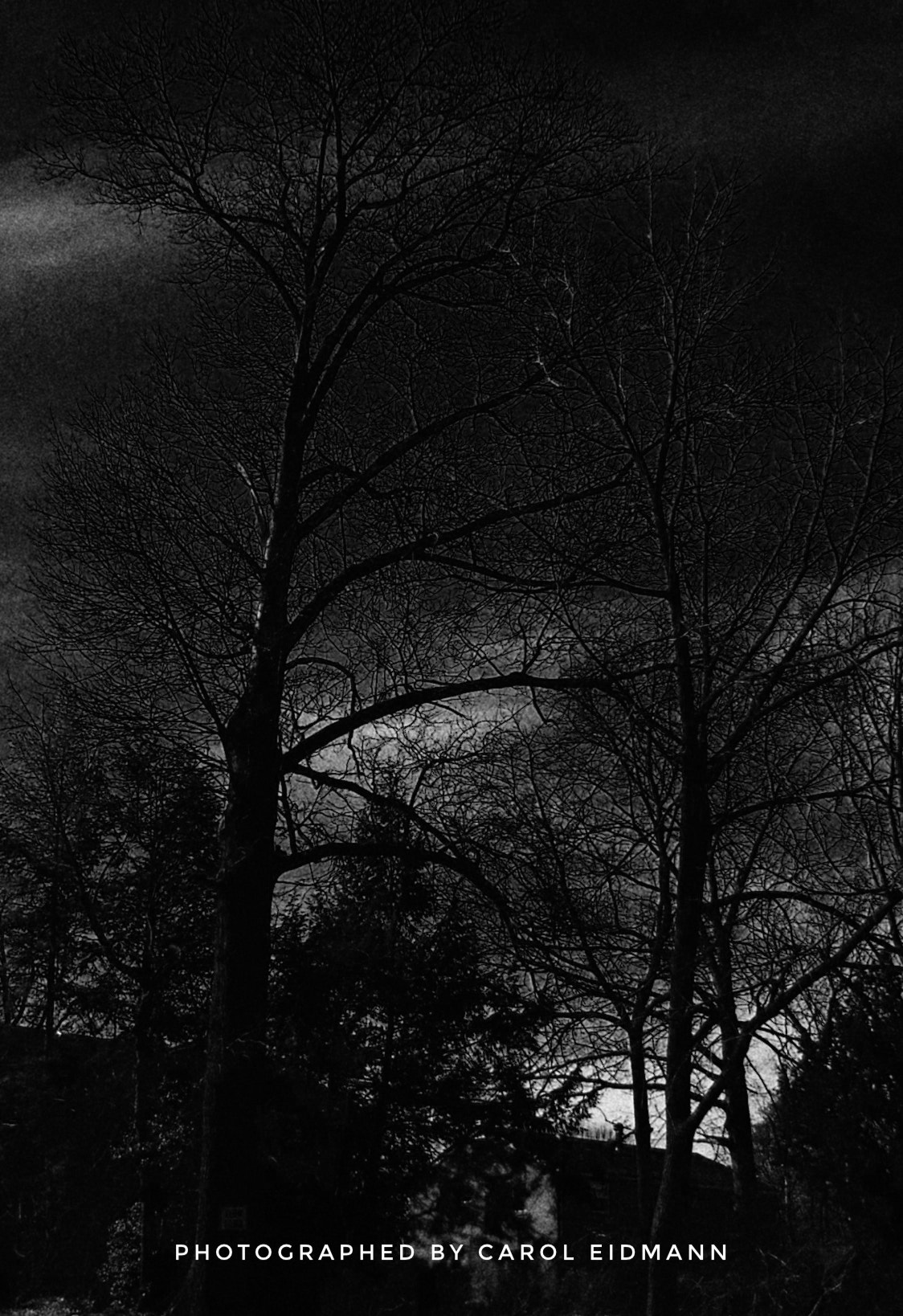 Fujifilm FinePix S9900W S9950W sample photo. " nightfall " photography