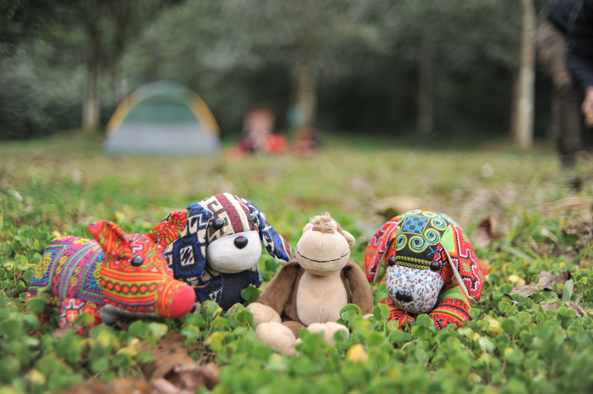 Nikon AF Nikkor 35mm F2D sample photo. Go camping photography