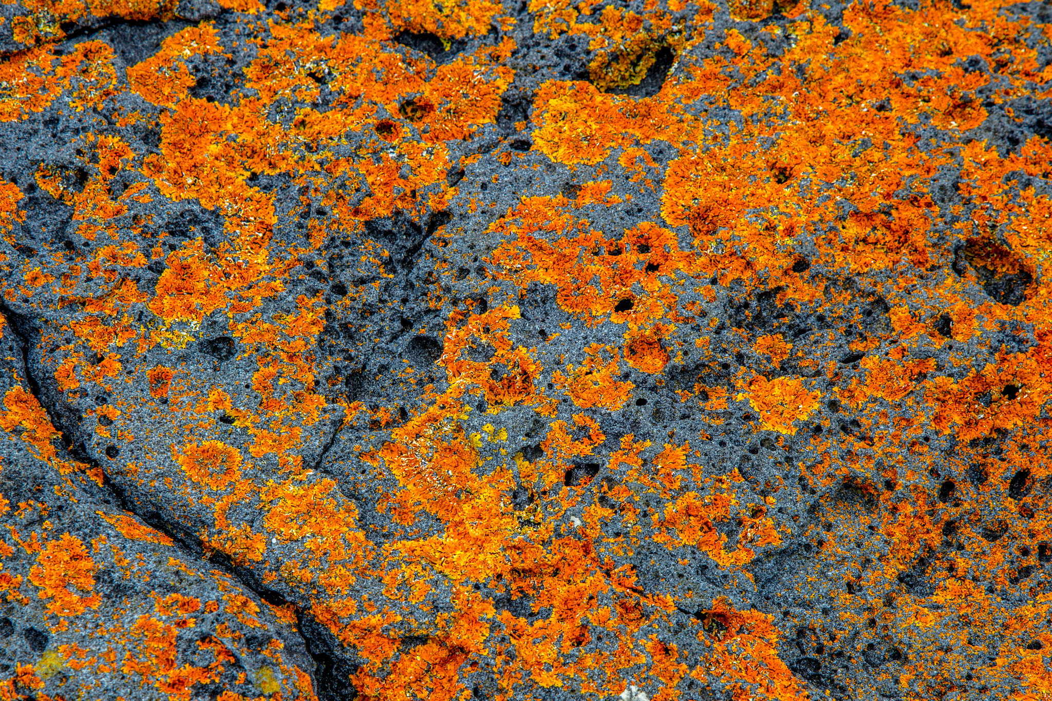 Canon EOS 5DS + Canon EF 24-105mm F4L IS USM sample photo. Mossy rocks photography