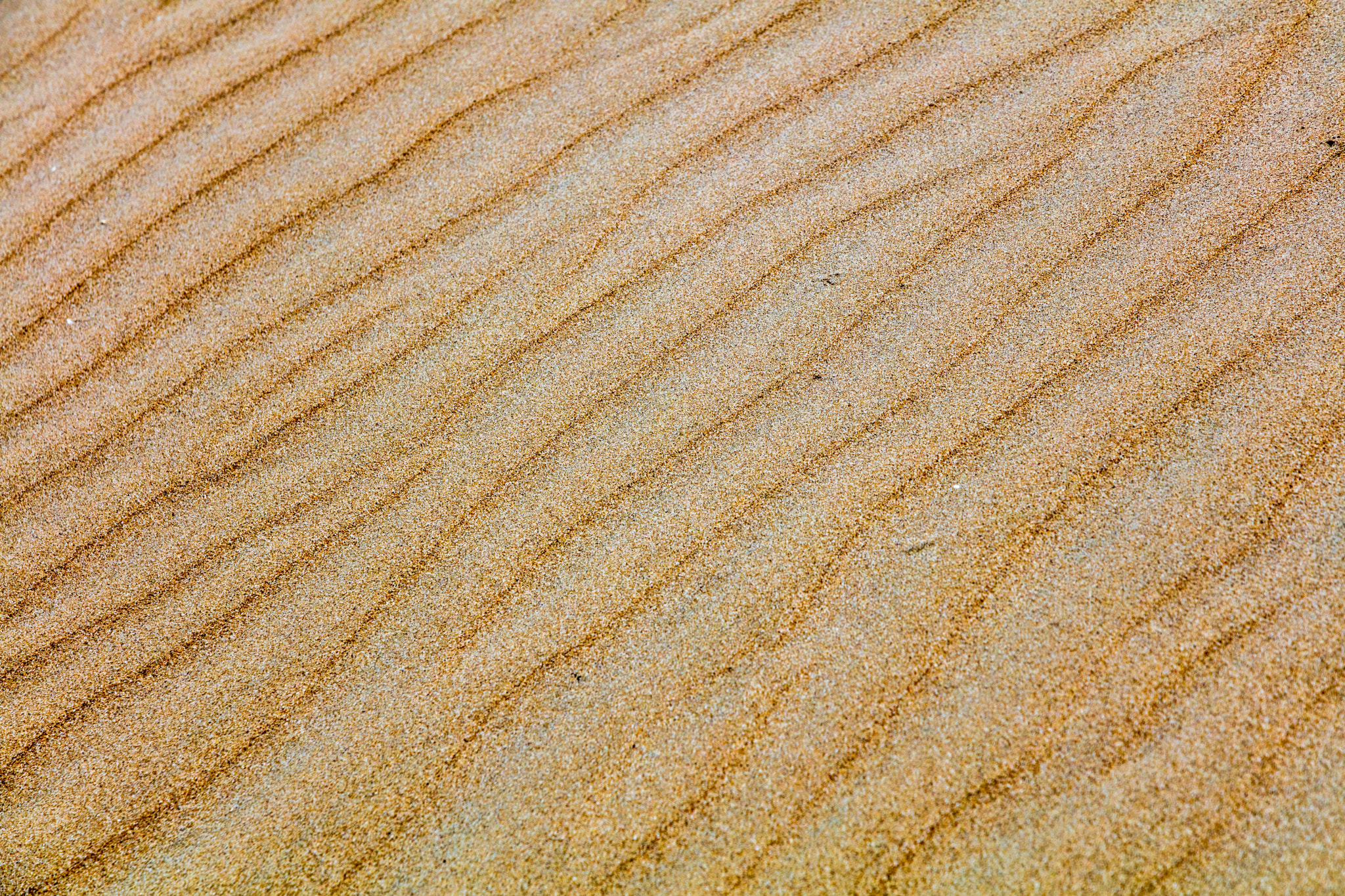 Canon EOS 5DS sample photo. Sand dune photography